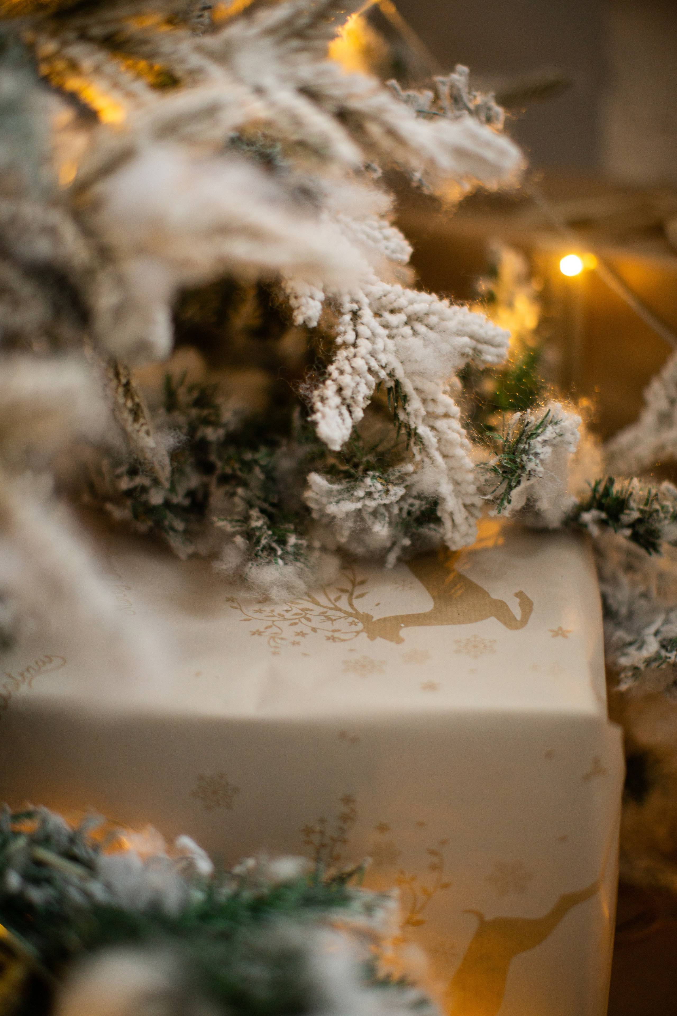 Нг24. Фотограф НатаФото (Наталья Яковенко) Дмитров Москва Питер