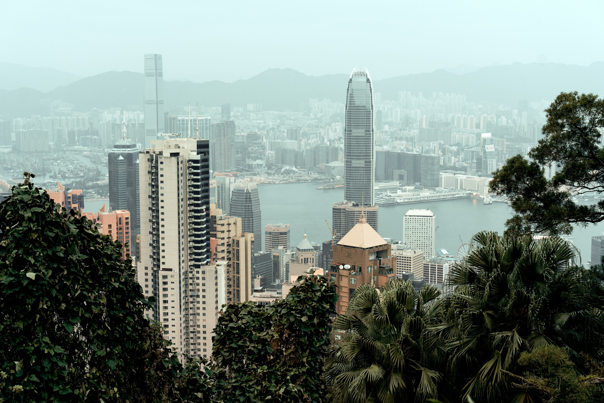 Ktokuda. Фотограф в Хабаровске. Фотография за 24 часа