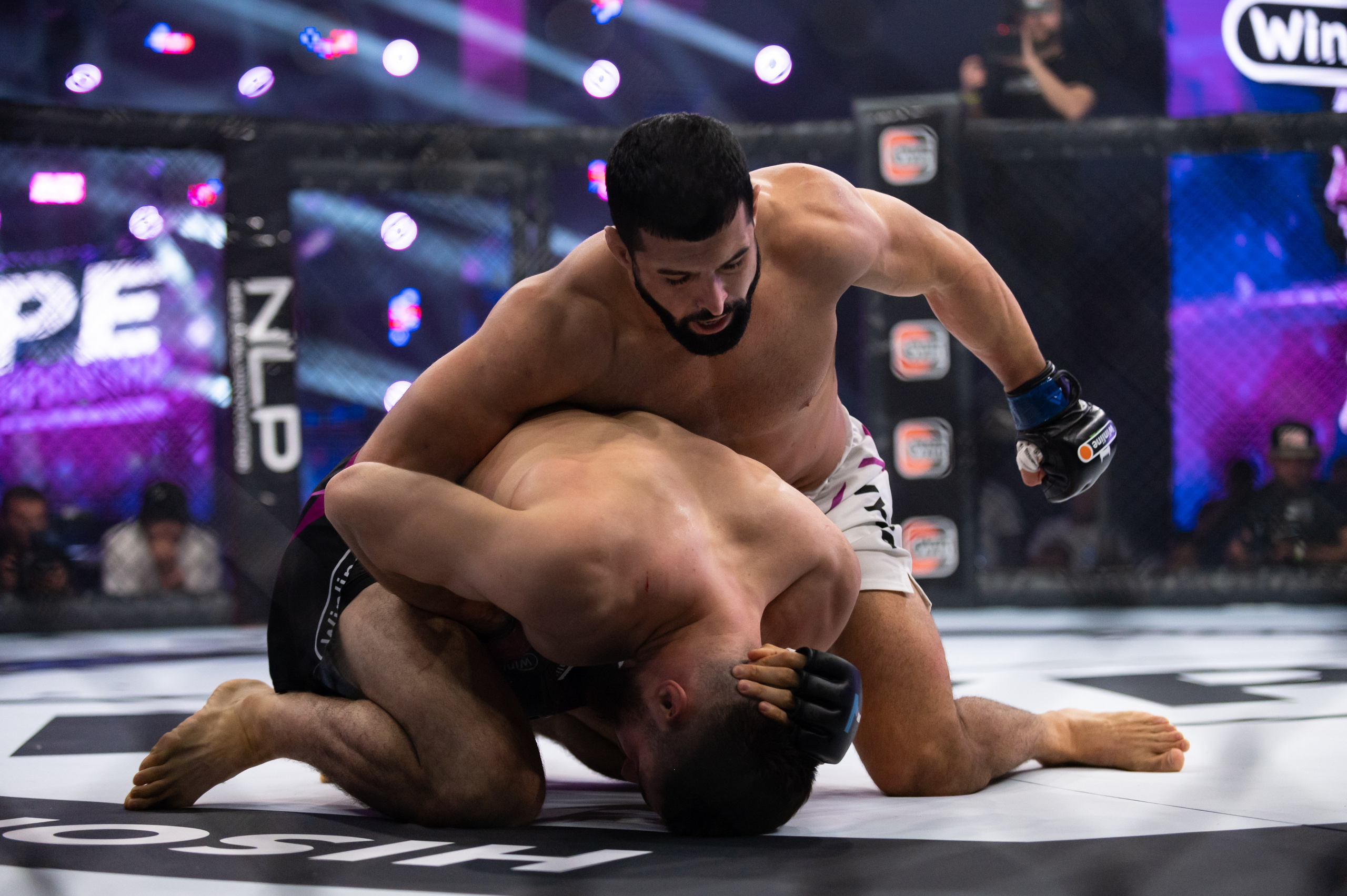 Бои. Репортажный фотограф в Красной Поляне и Сочи Павлюченко Екатерина