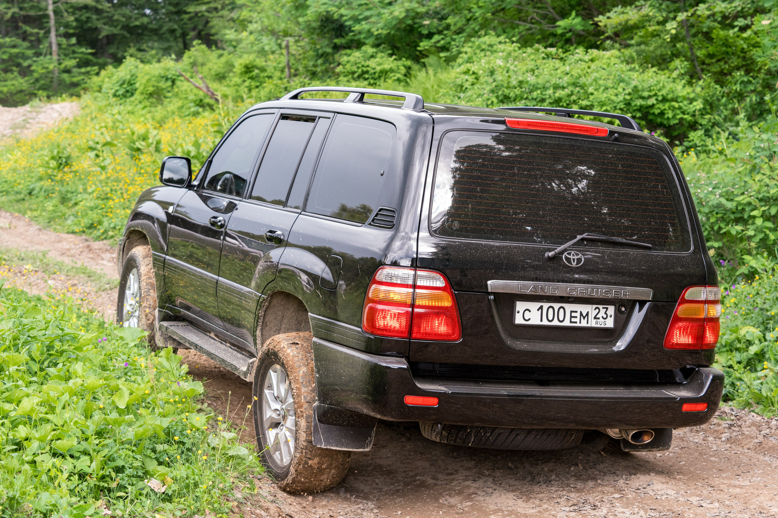 MICE мероприятие для компании «Доставка морем»: хайкинг к Ачипсинским водопадам. Репортажный фотограф в Красной Поляне и Сочи Павлюченко Екатерина