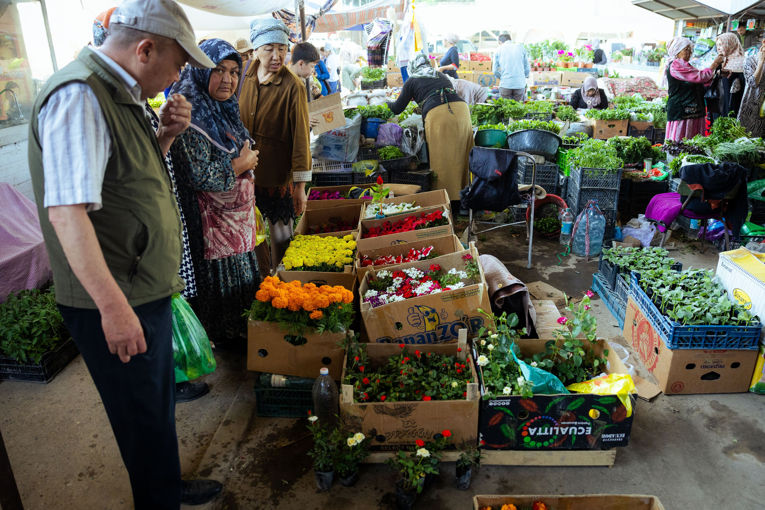 Кыргызстан (весна 2025). Фотограф Виноградов Константин