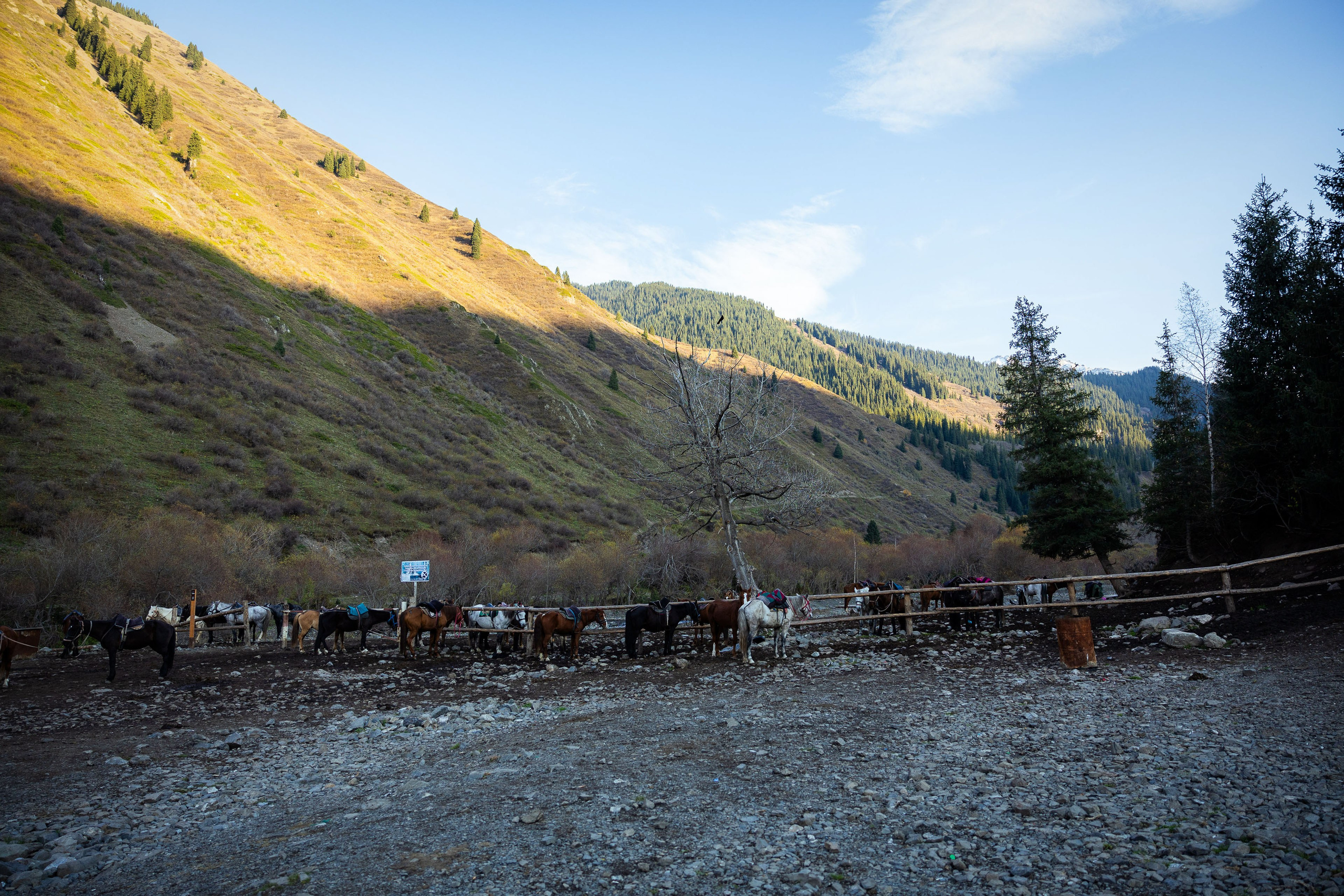 Казахстан (осень 2024). Фотограф Виноградов Константин