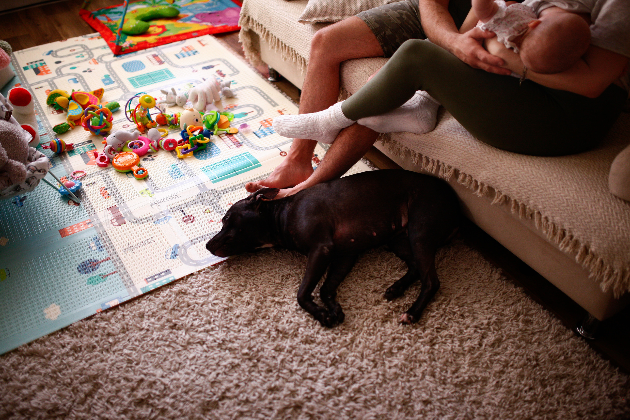 Когда все дома…. Фотограф Шелудкова Яна, город Тюмень