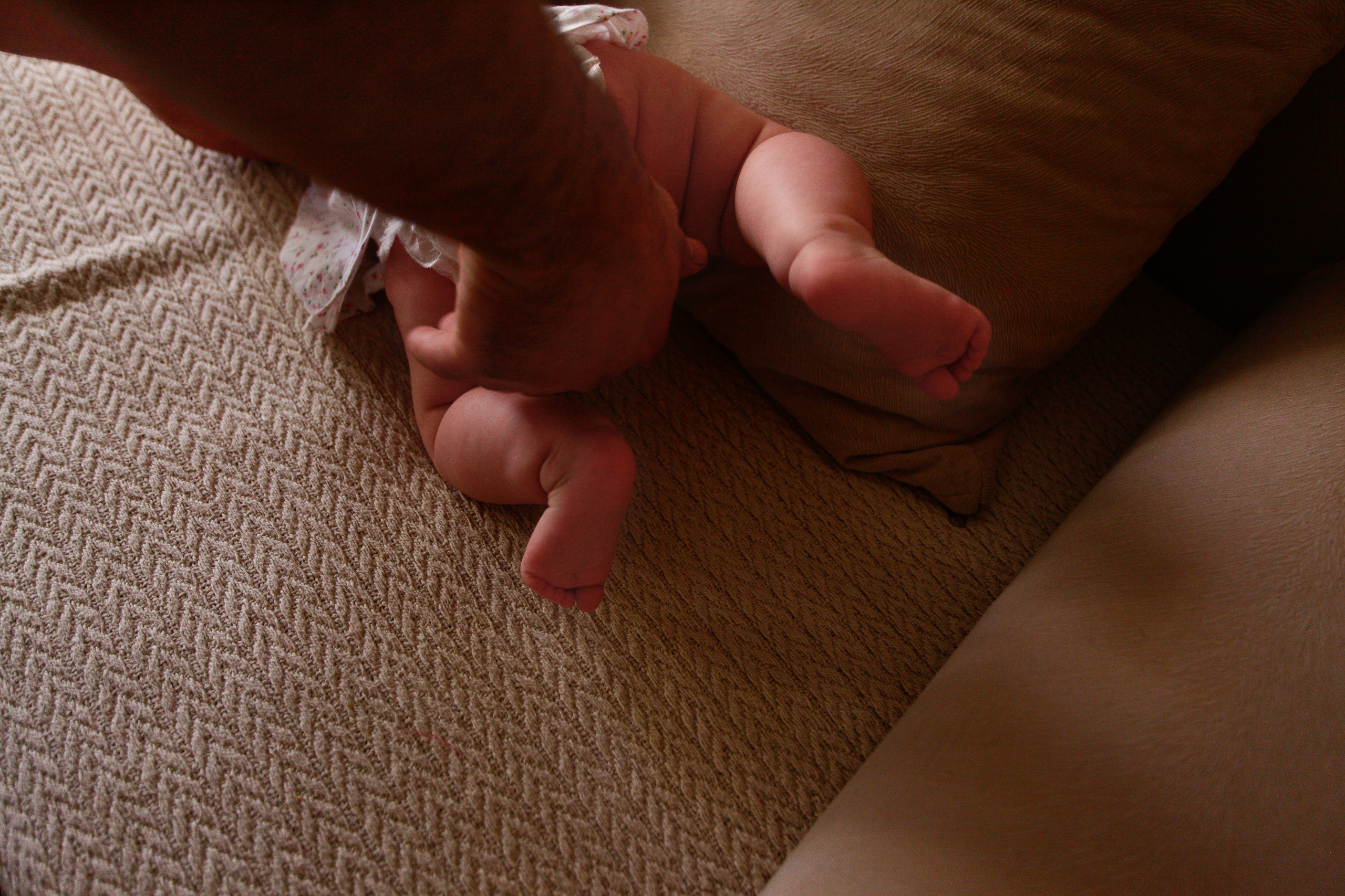 Когда все дома…. Фотограф Шелудкова Яна, город Тюмень