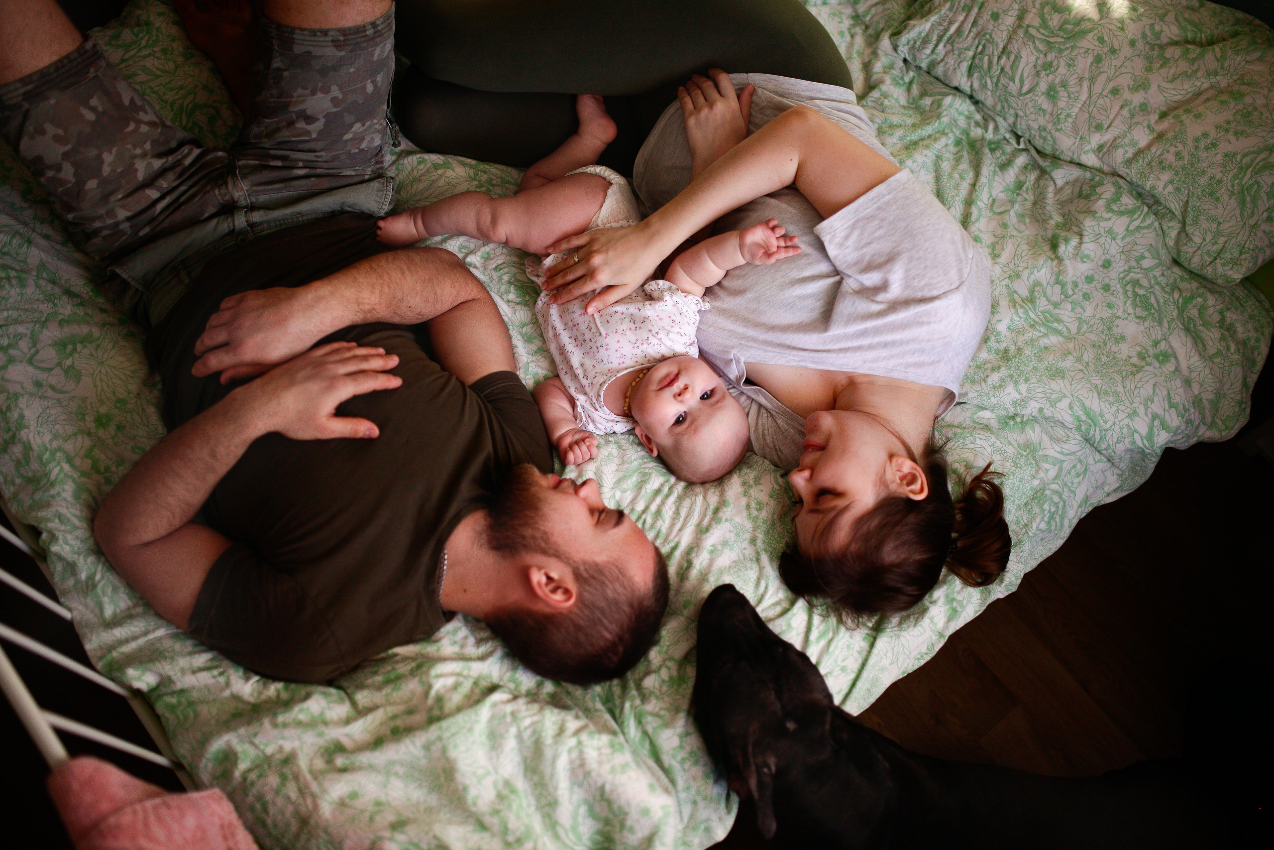 Когда все дома…. Фотограф Шелудкова Яна, город Тюмень