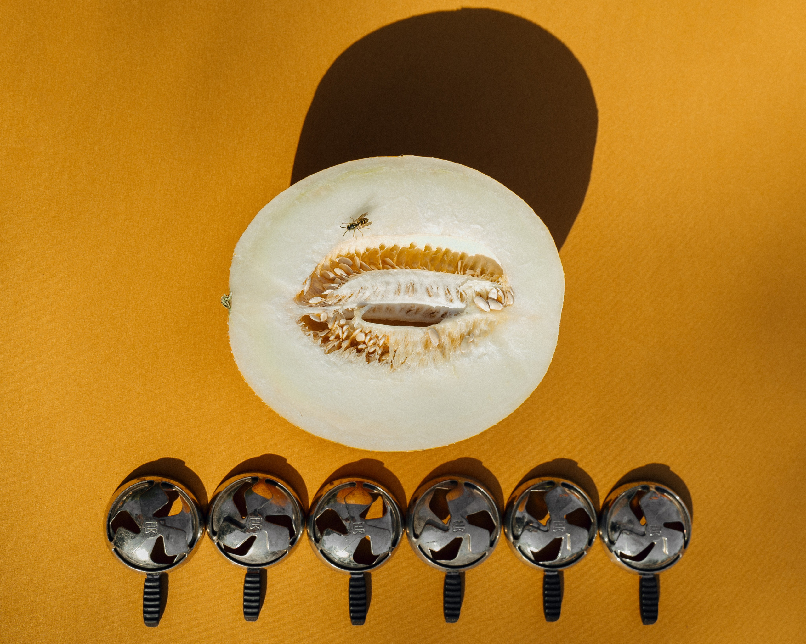 Жёлтый сентябрь. Свадебный фотограф в Краснодаре и Сочи Винидиктова Екатерина