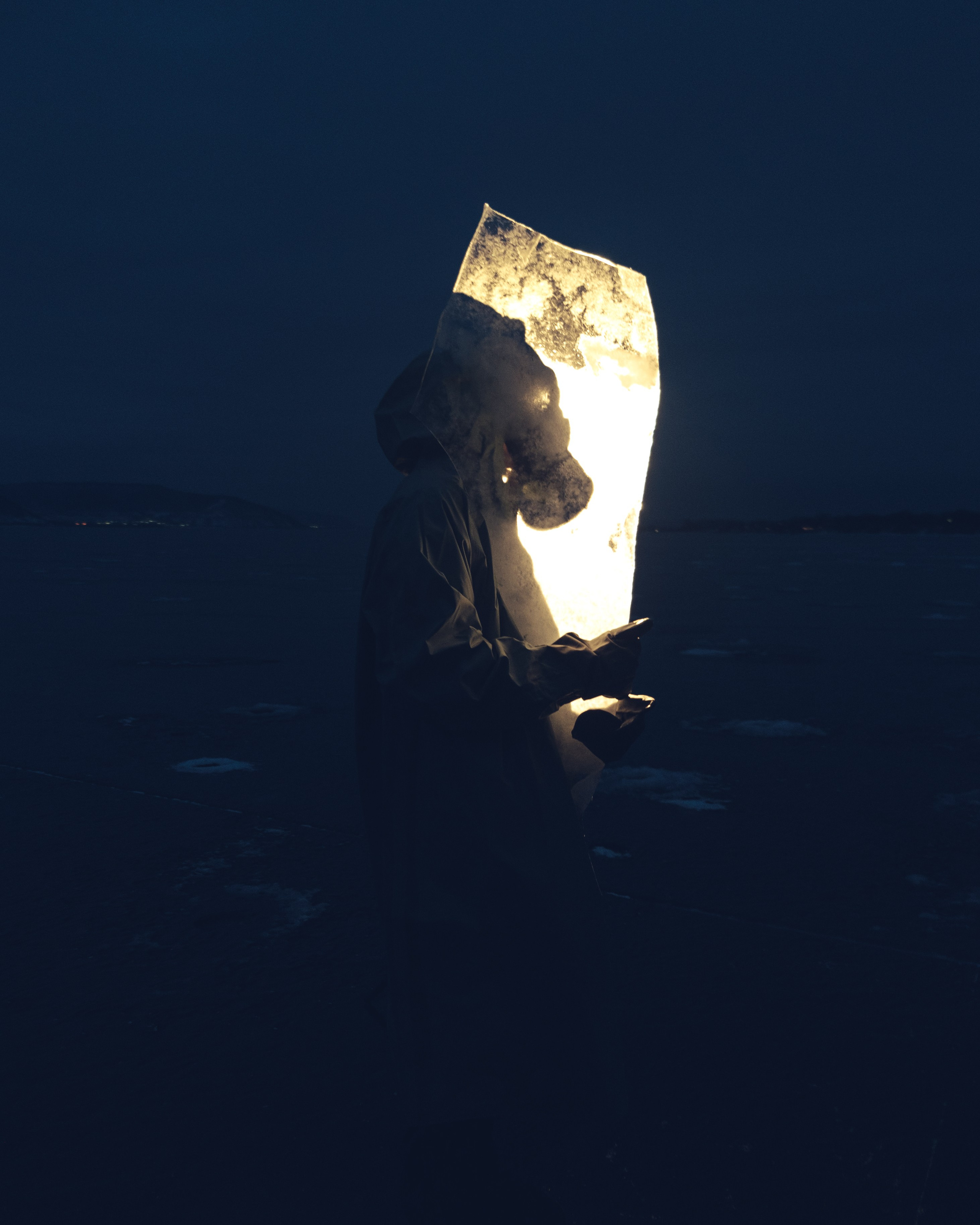 Богдан. Исследование забытого. Дмитрий Пропадалин, Нейрофотография