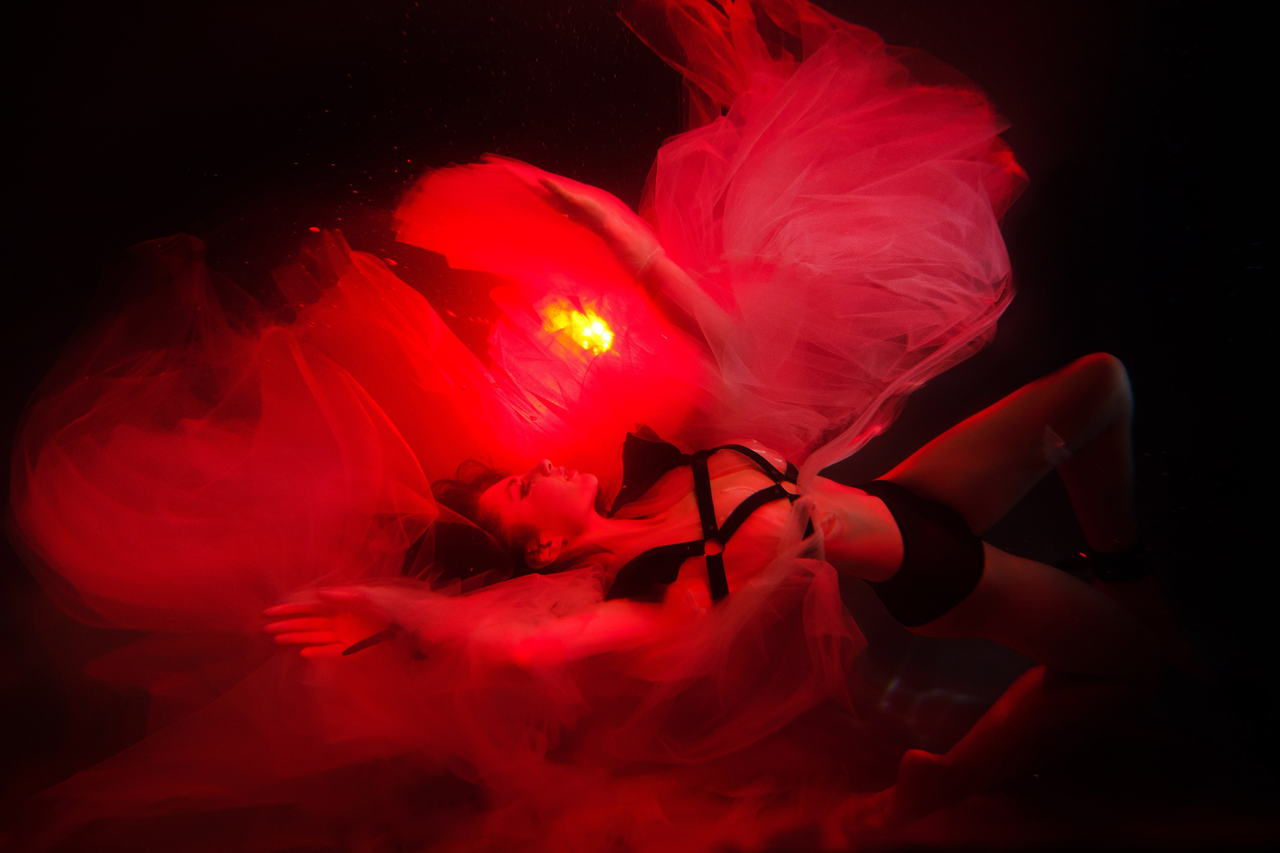 Аква общая. Марковкина КрисТина