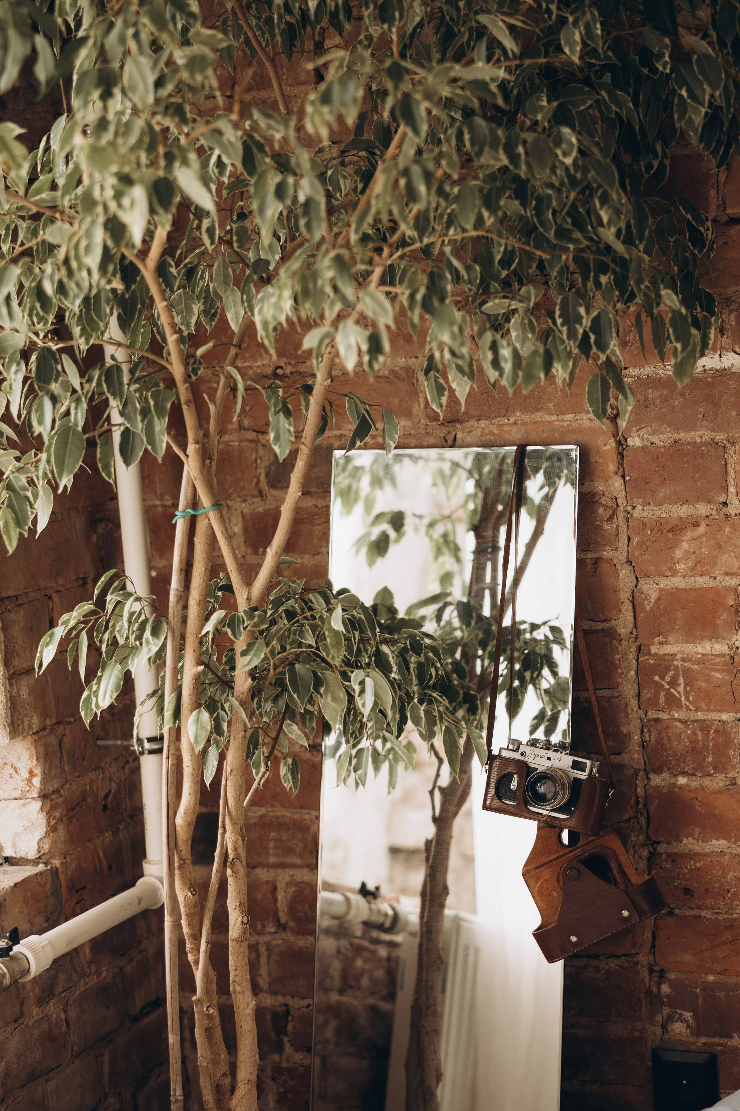 Полина и Дмитрий. Семейный фотограф в Москве Виктория Ястребинская