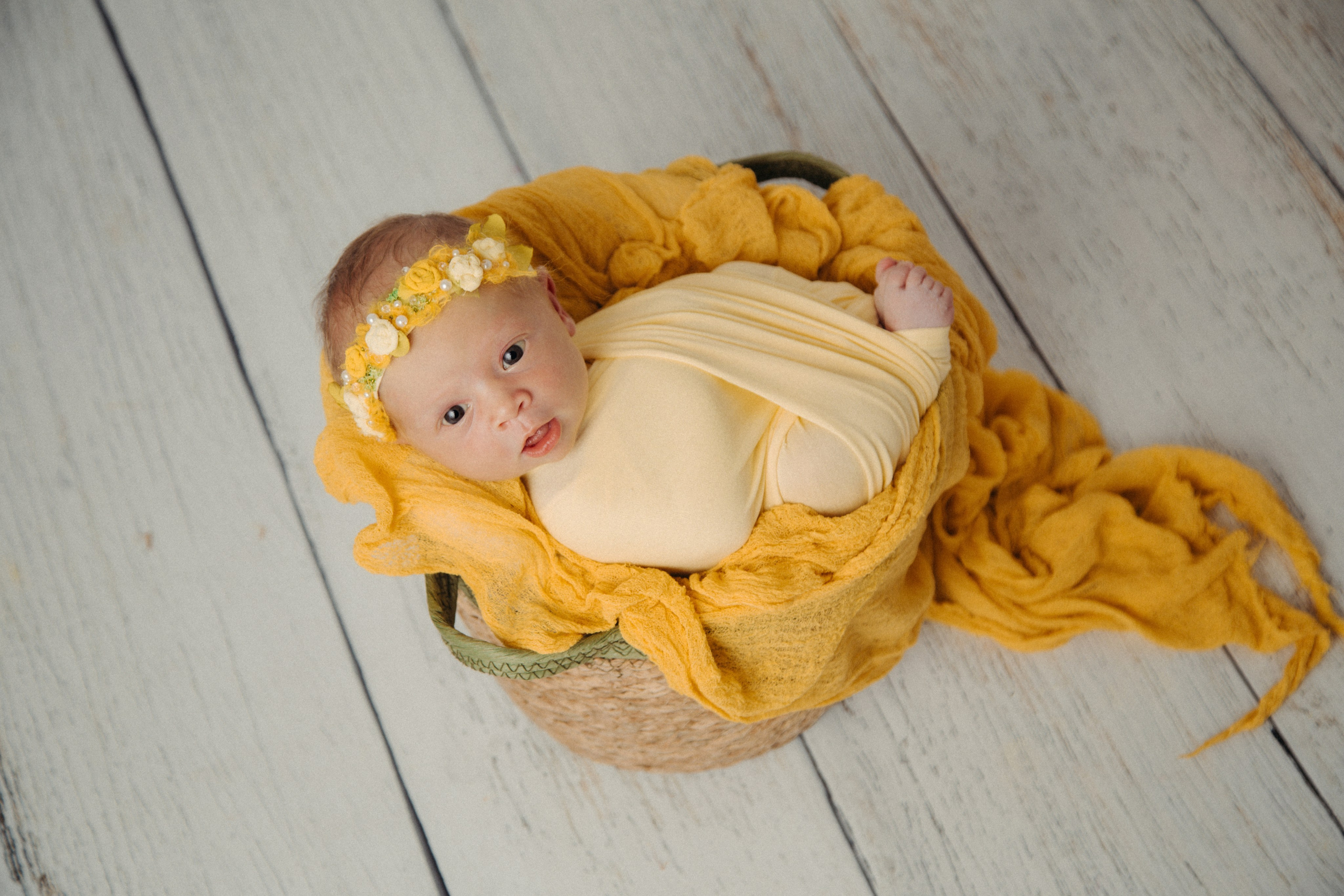 Василиса, пакет «Комфорт», 9 дней. Фотограф новорождённых Екатерина Боброва. Ульяновск