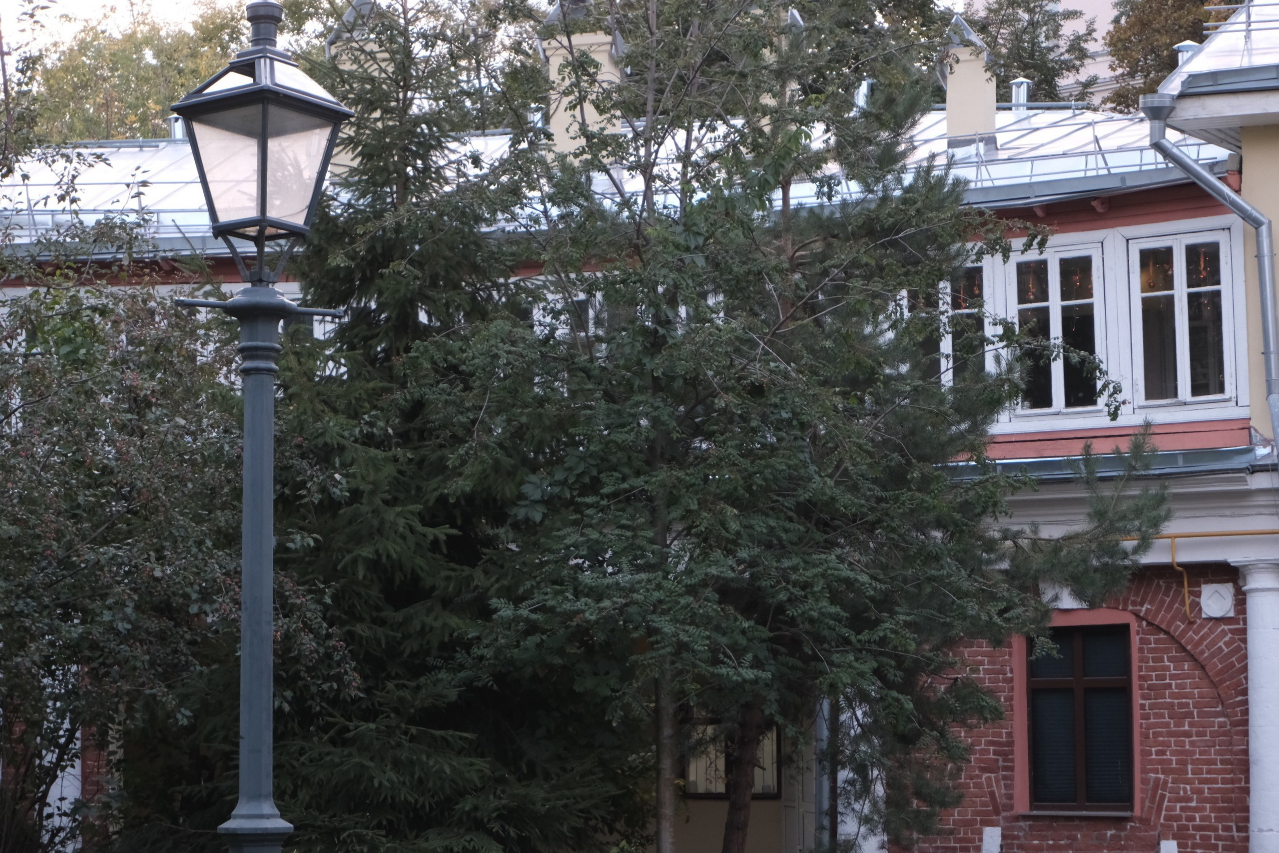 Городские черты. Кудри под панамой