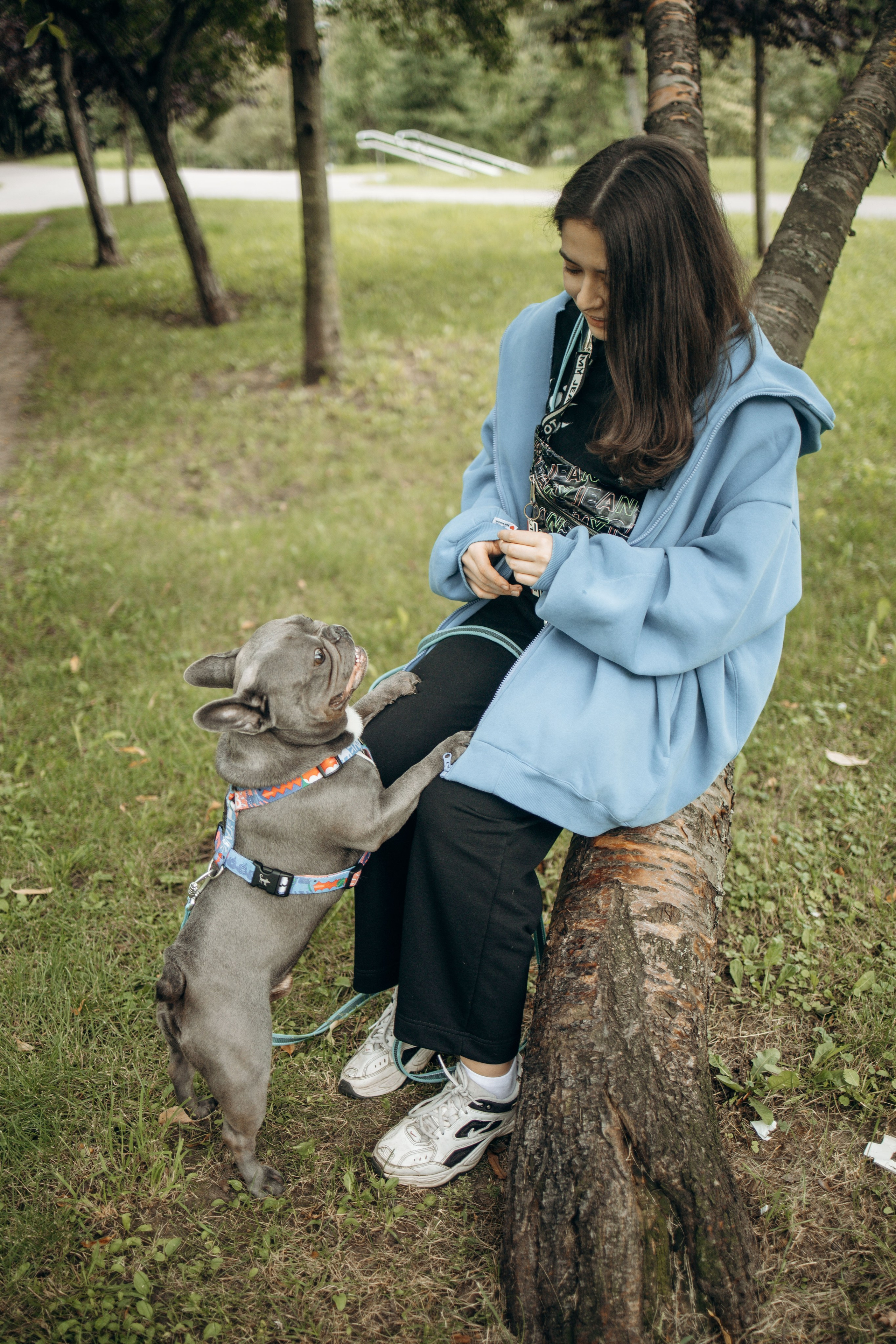 Грей и его семья