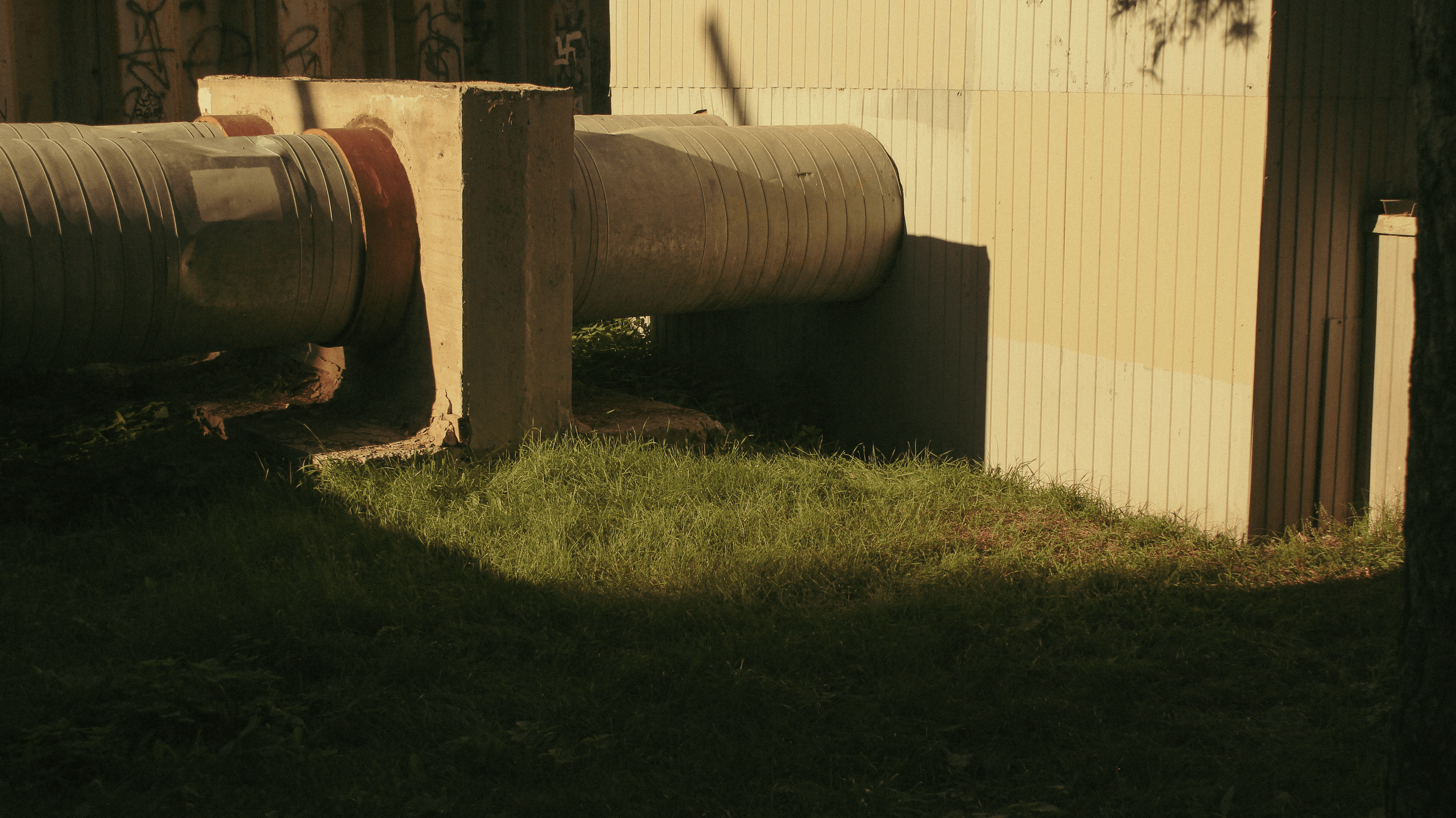 TMN summer '24. Фотограф/дизайнер в Екатеринбурге Хитрый Дмитрий