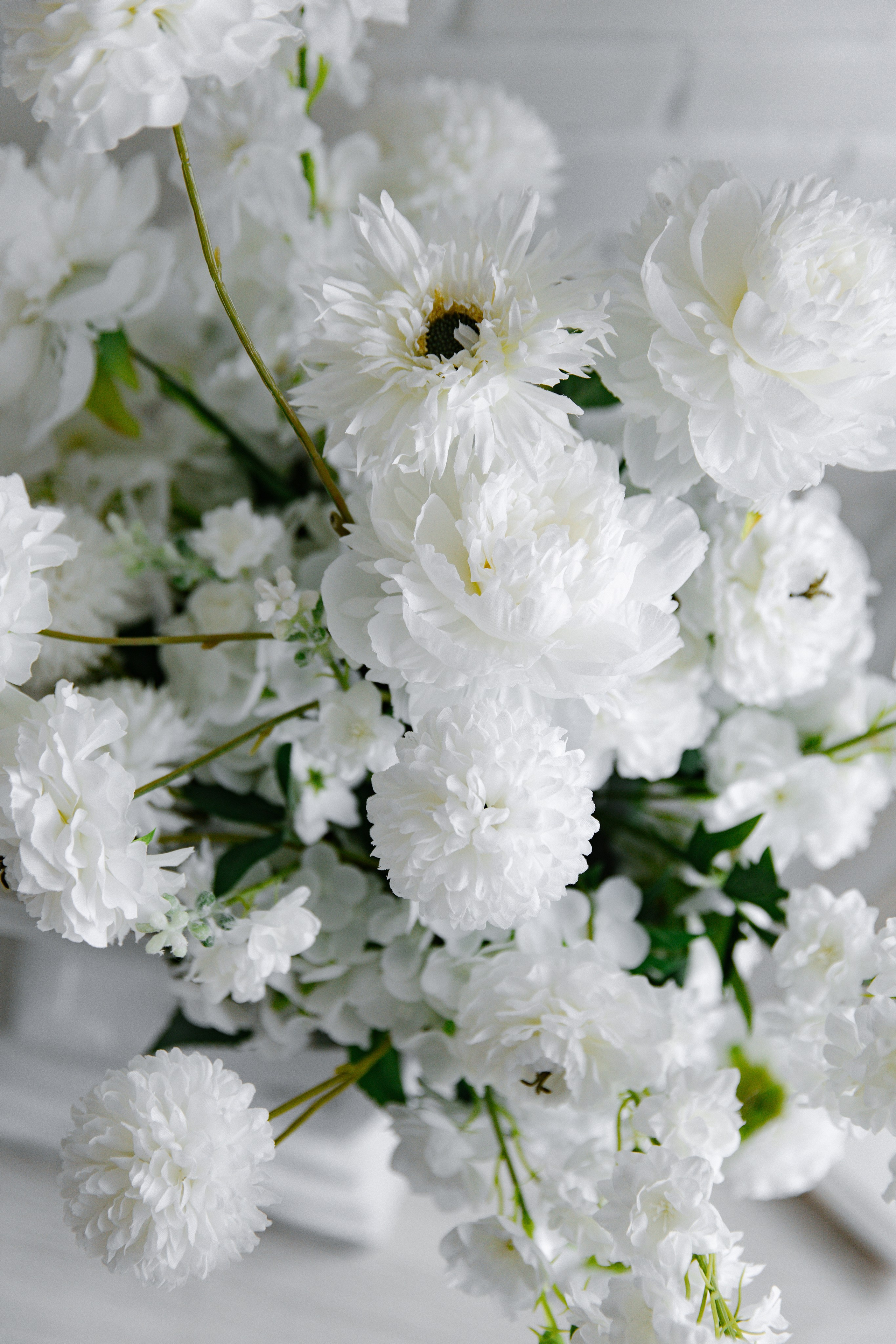 Вика. Свадебный и семейный фотограф в Таганроге и Ростове Руднева Анастасия