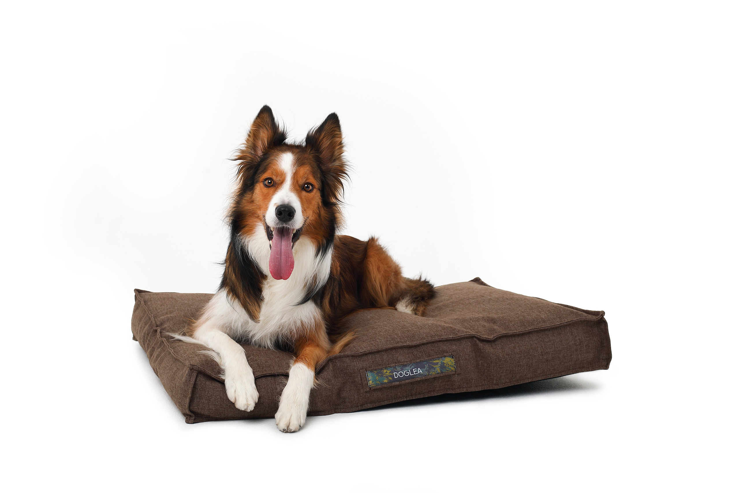 Для брендов. Фотограф- анималист Санкт-Петербург