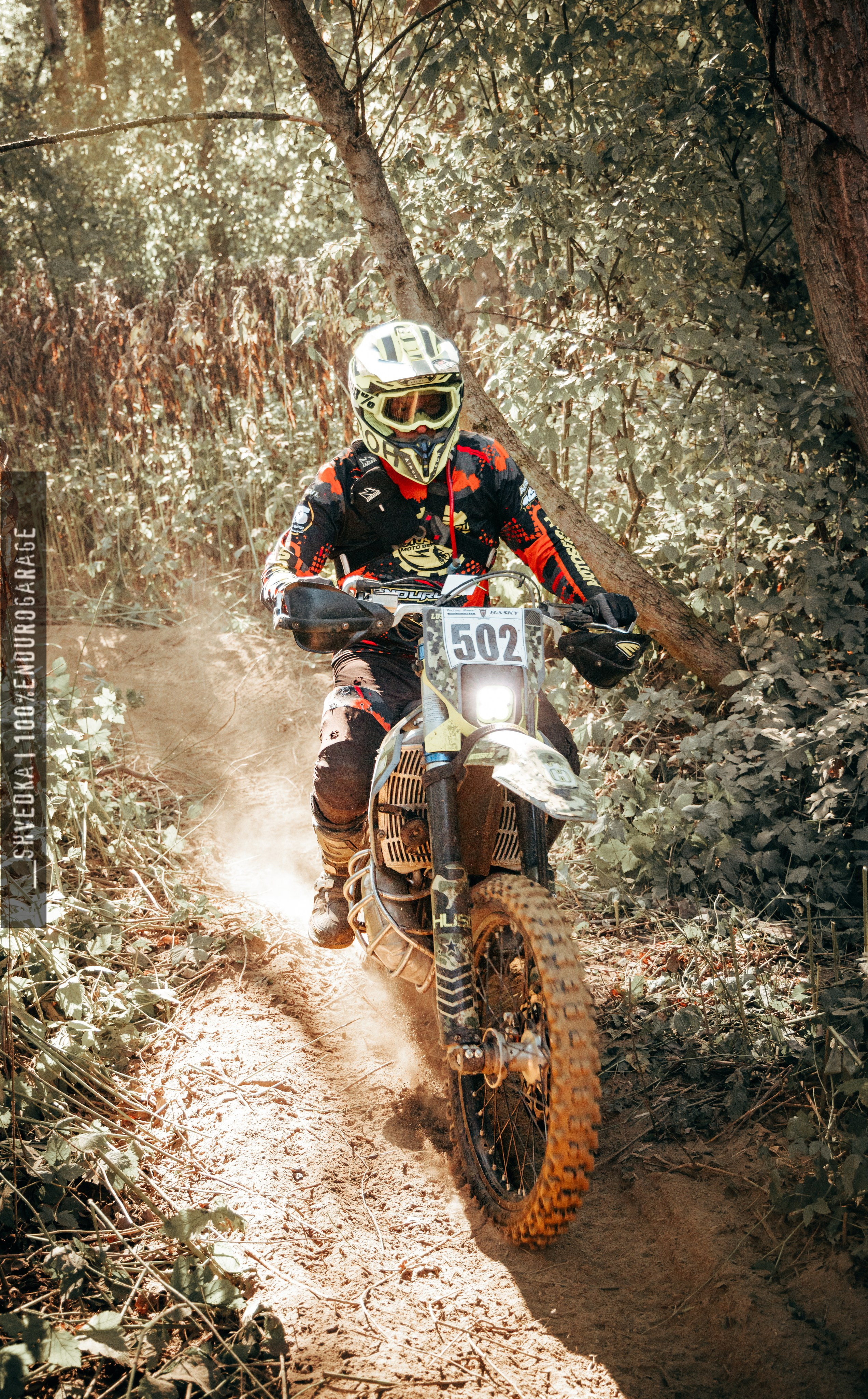 2 лесной день. Ваш экстрим фотограф Кудрева Яна