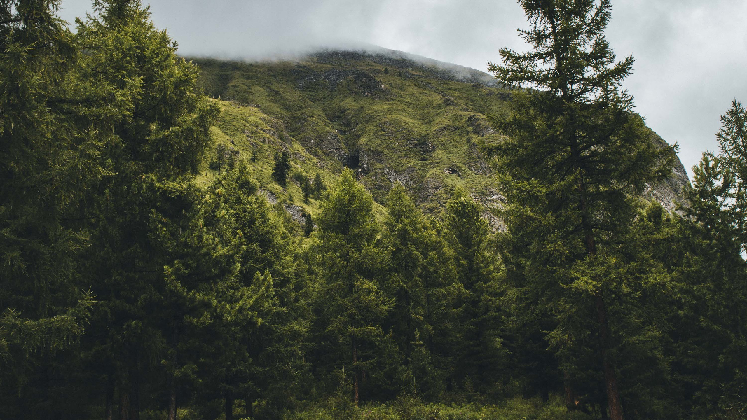 ШУМАК. Фотограф Денис Рундин