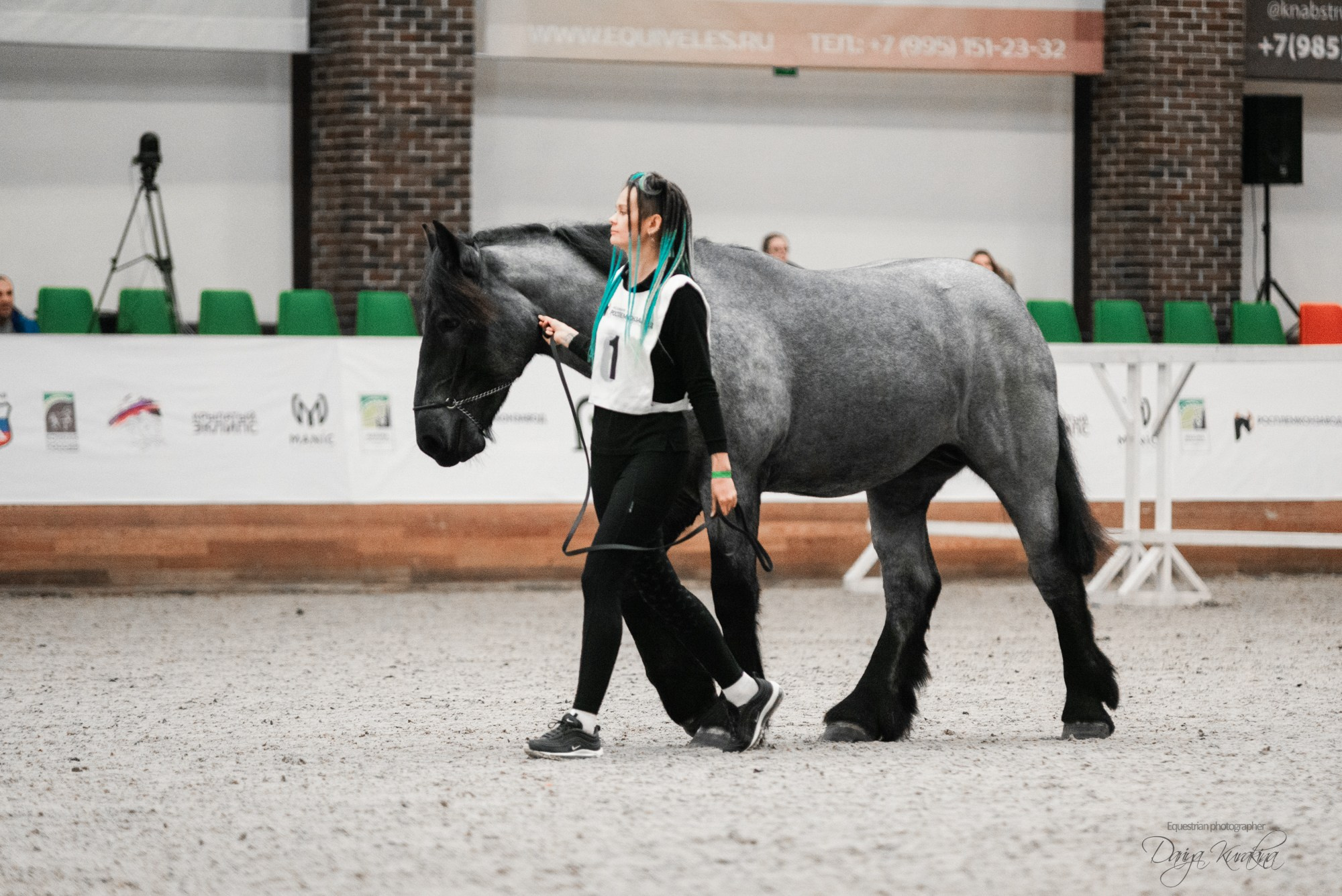 8-я международная выставка Конная Россия. Конный фотограф Куракина Дарья • Фотосессии с лошадьми