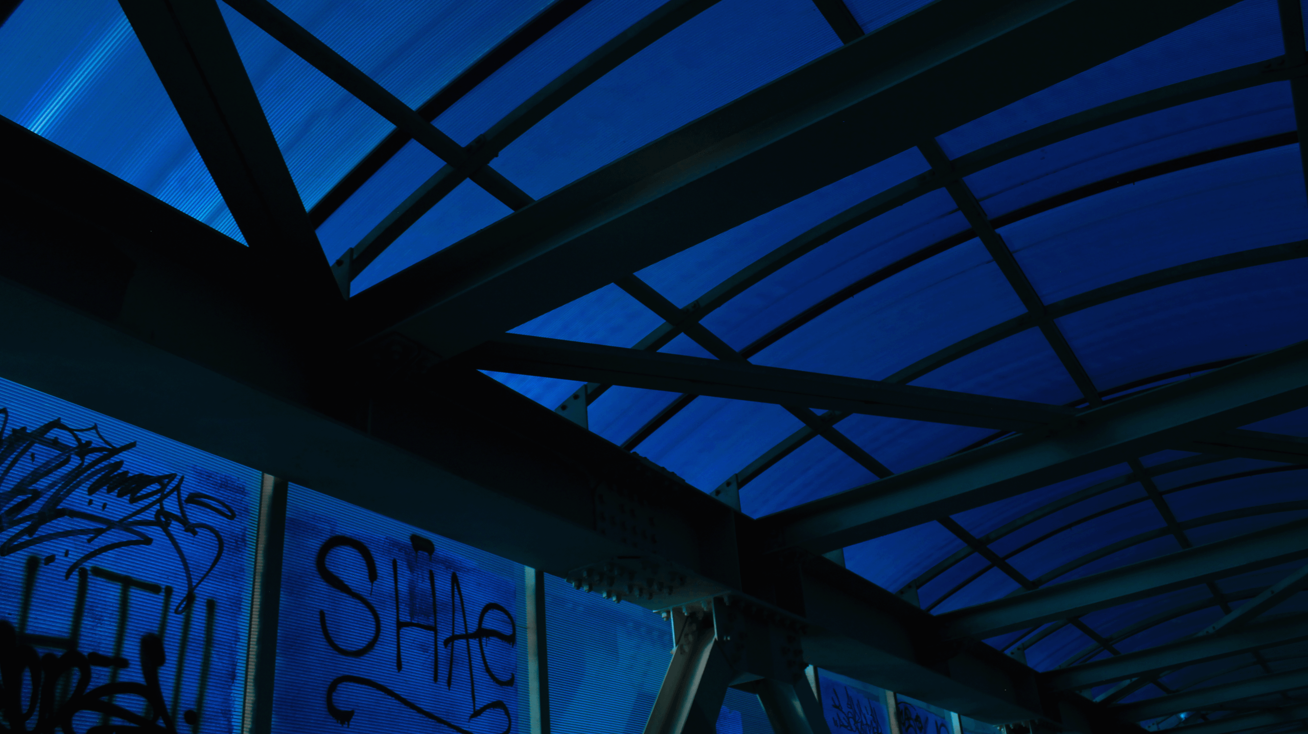 TMN summer '24. Фотограф/дизайнер в Екатеринбурге Хитрый Дмитрий