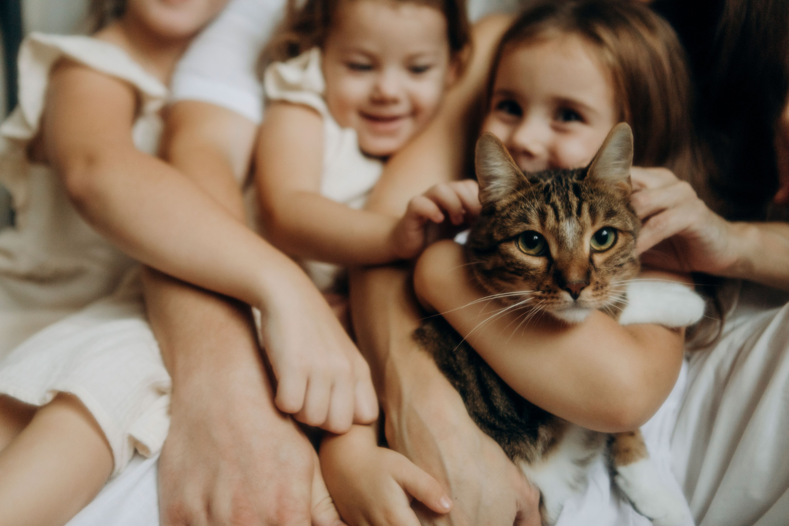 Наши росточки. Свадебный и семейный фотограф Арестенко Анастасия