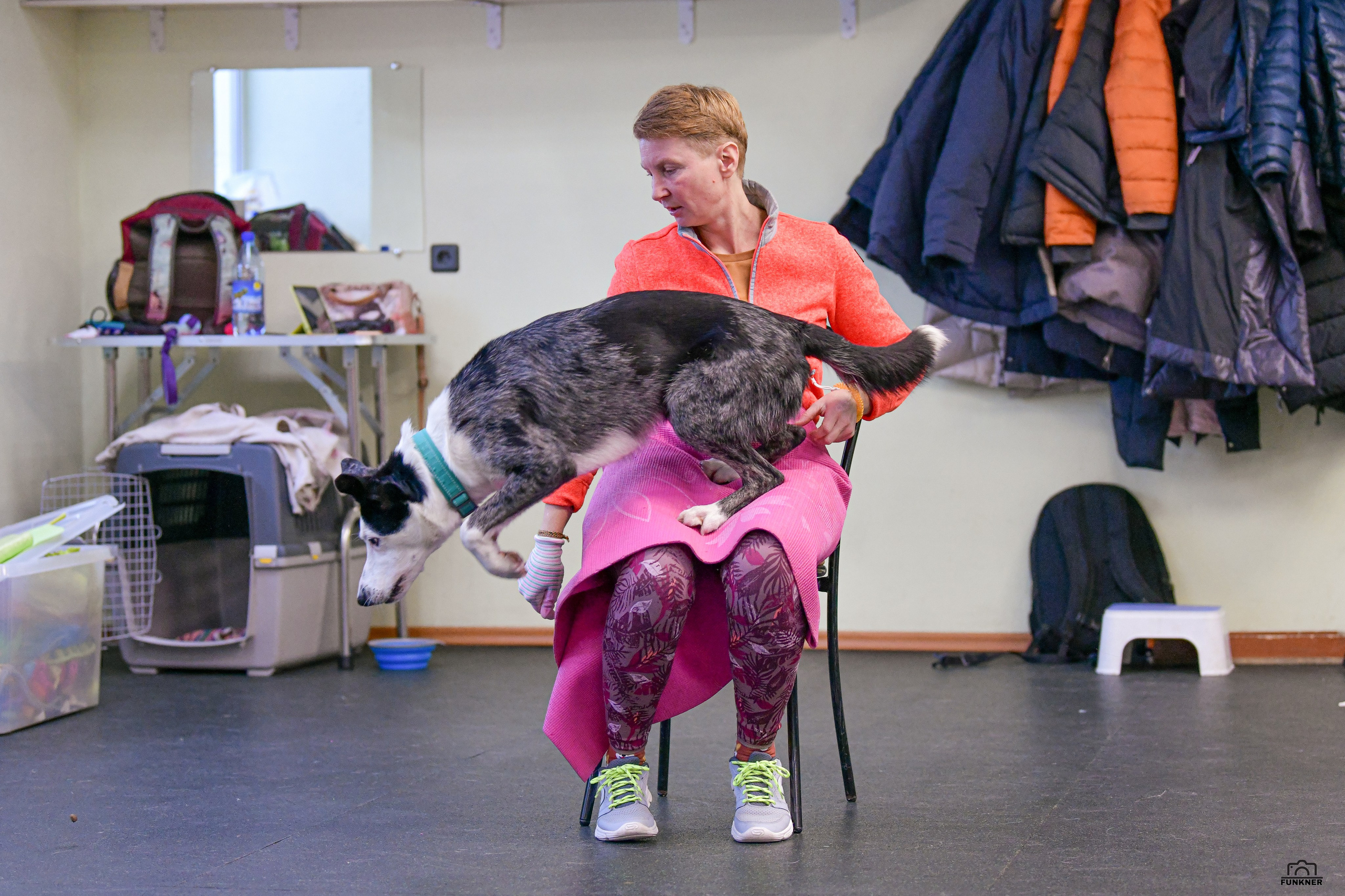 Кинологический клуб «Бодрый хвост». Свой взгляд через объектив