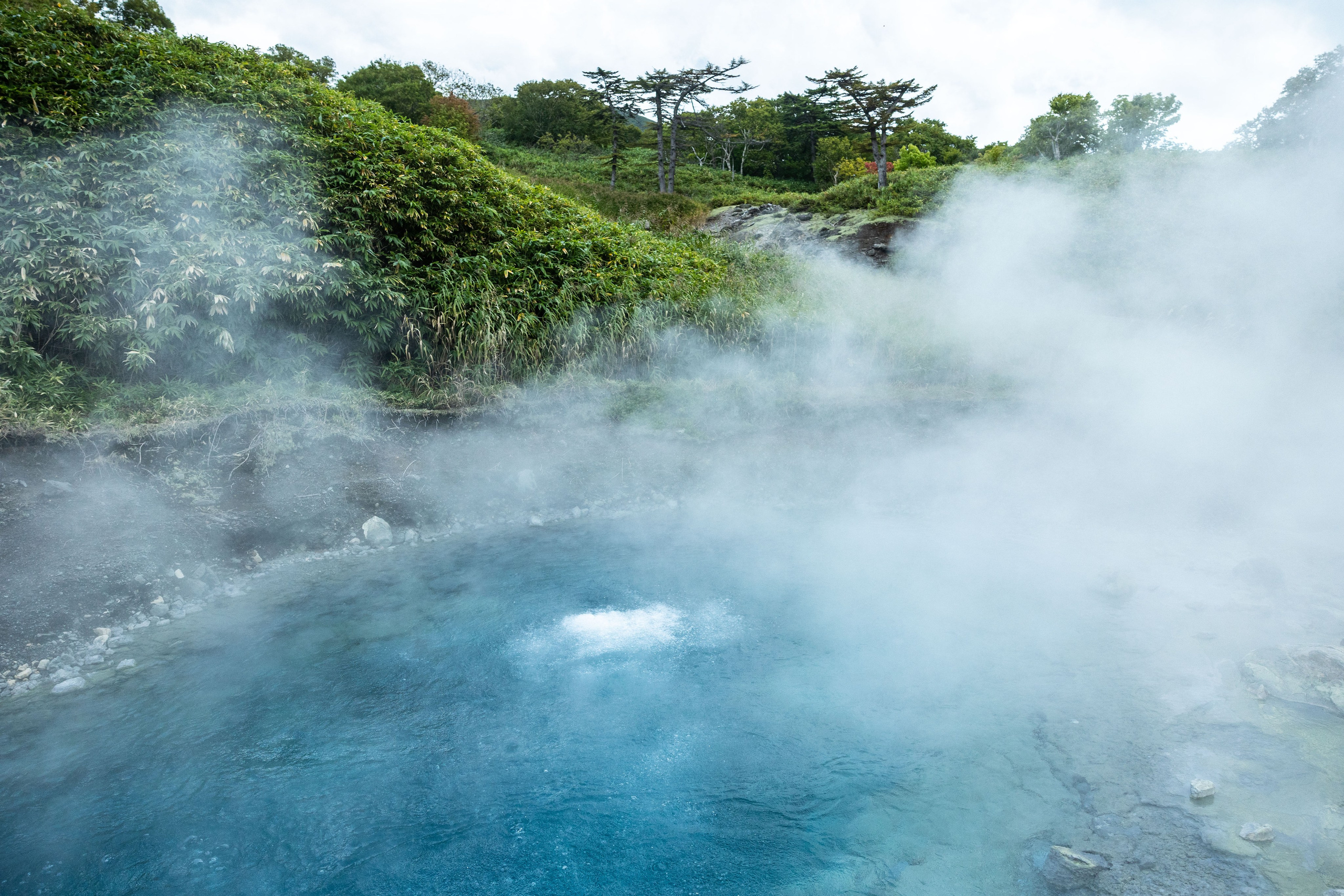 Экспедиция по Северным Курильским островам с Vasta. Фотограф Красная Поляна — Сочи — Москва