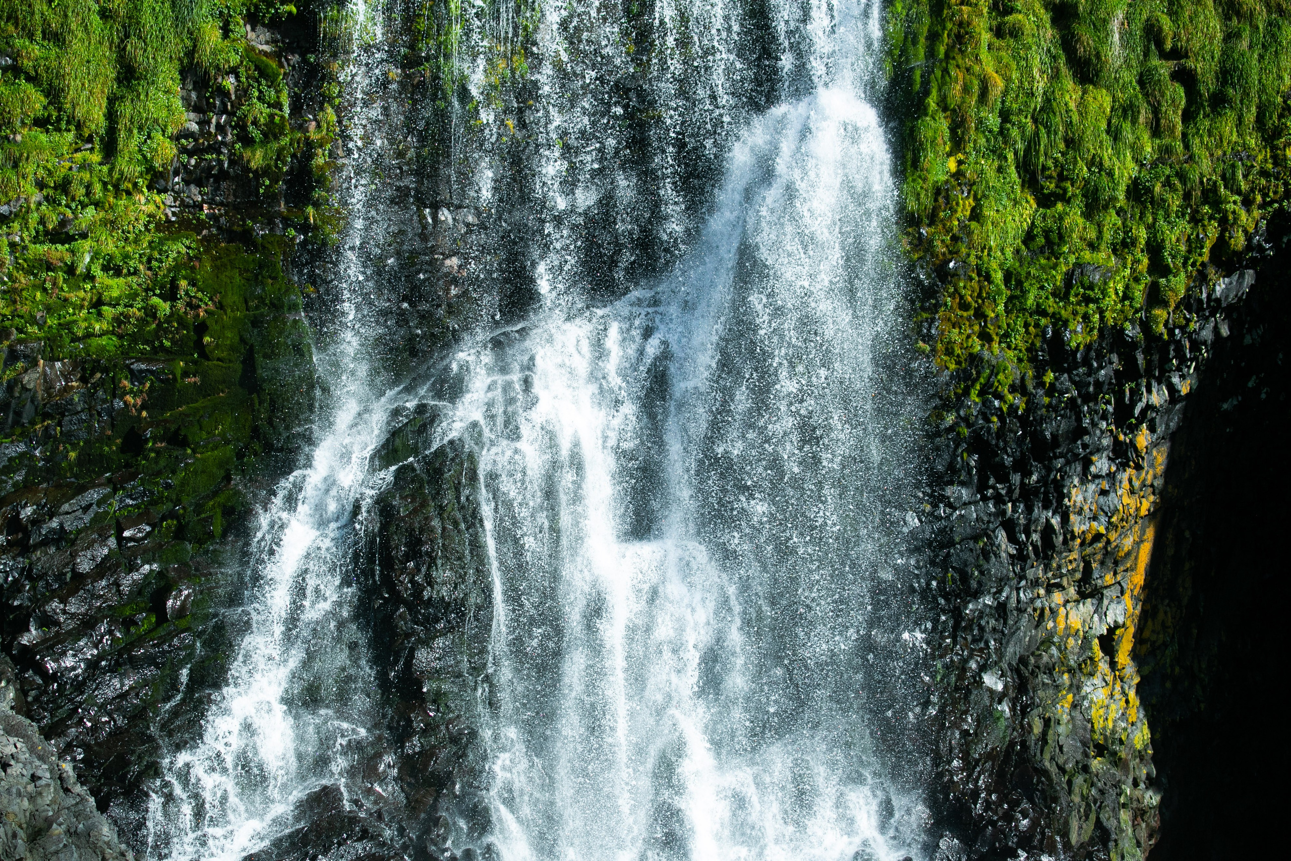 Экспедиция по Северным Курильским островам с Vasta. Фотограф Красная Поляна — Сочи — Москва