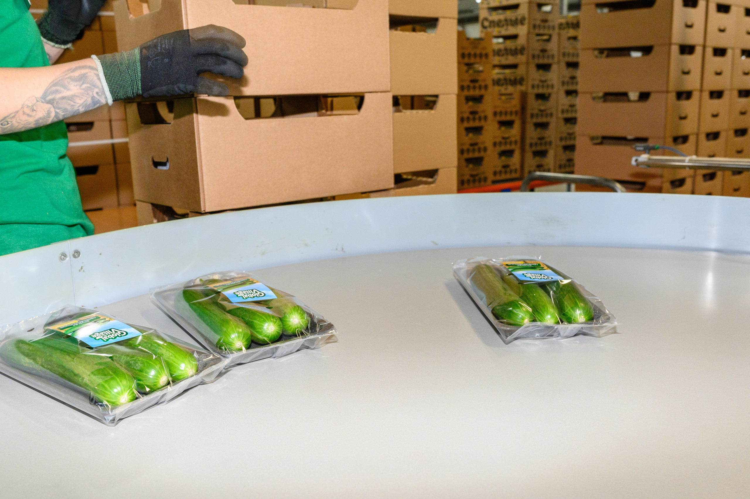 Тепличный комплекс «ПЕРМСКИЙ»