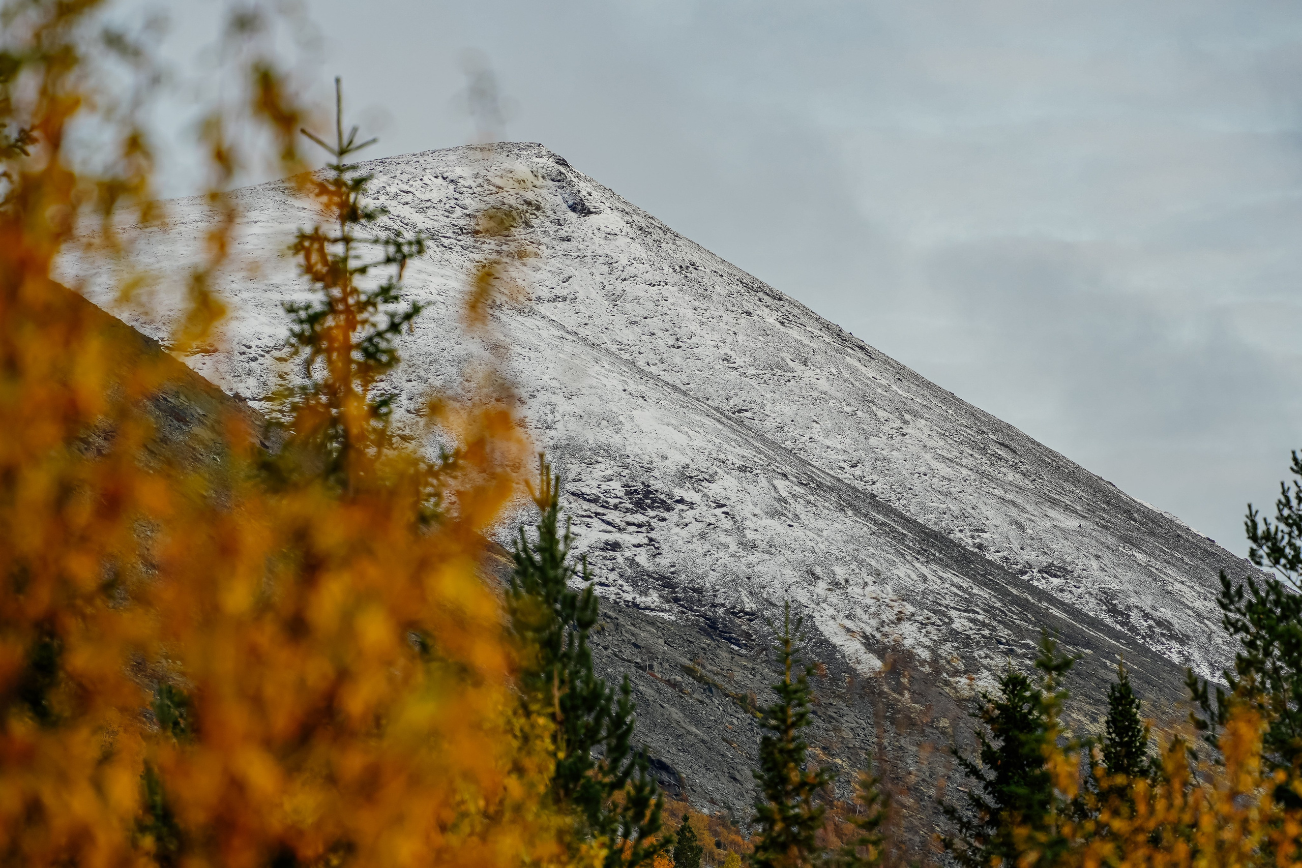 СЕВЕР. Event фотограф Степанова Александра