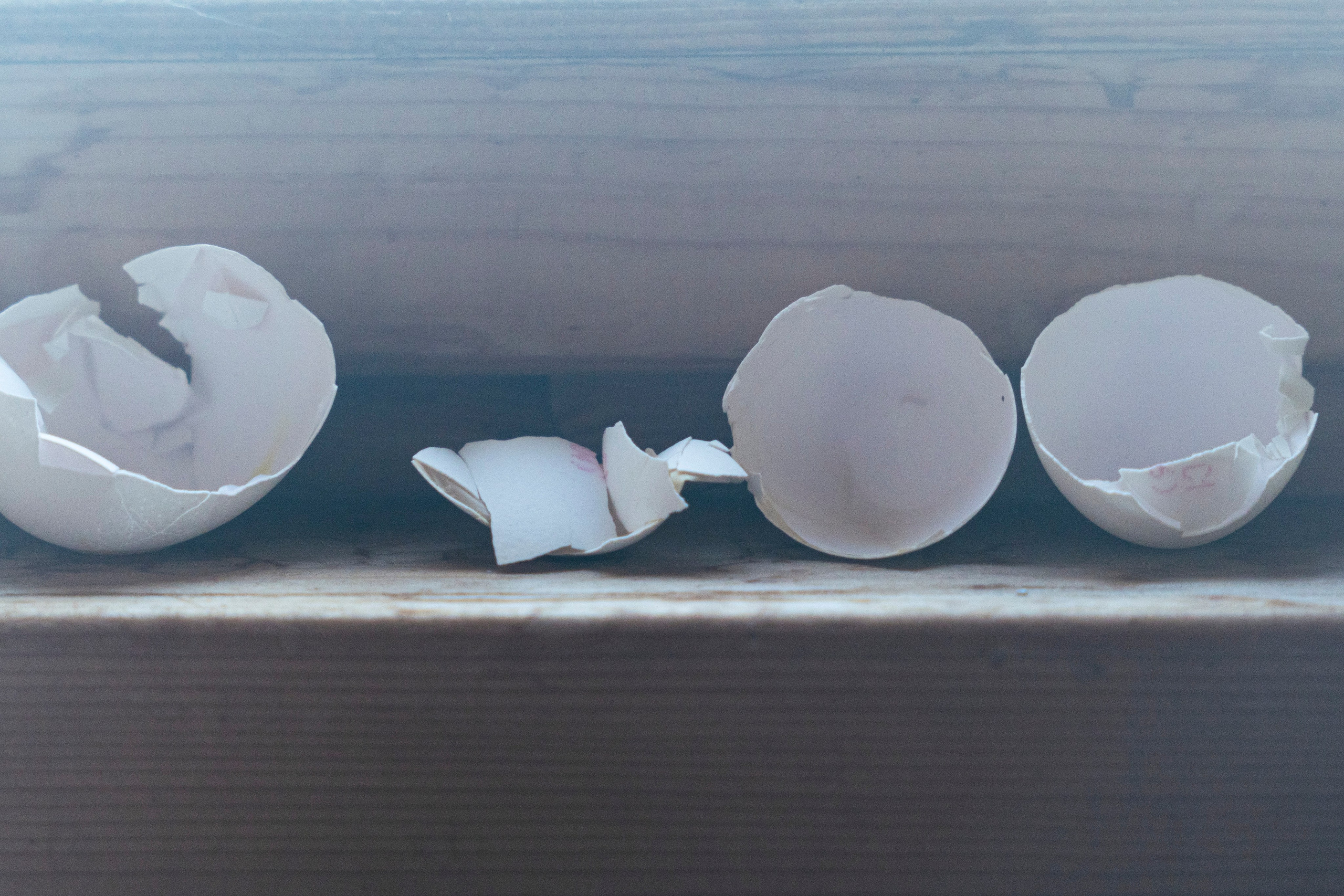 Молчановы. Многолетний проект о молодой семье. Фотограф в Москве Савкина Евгения