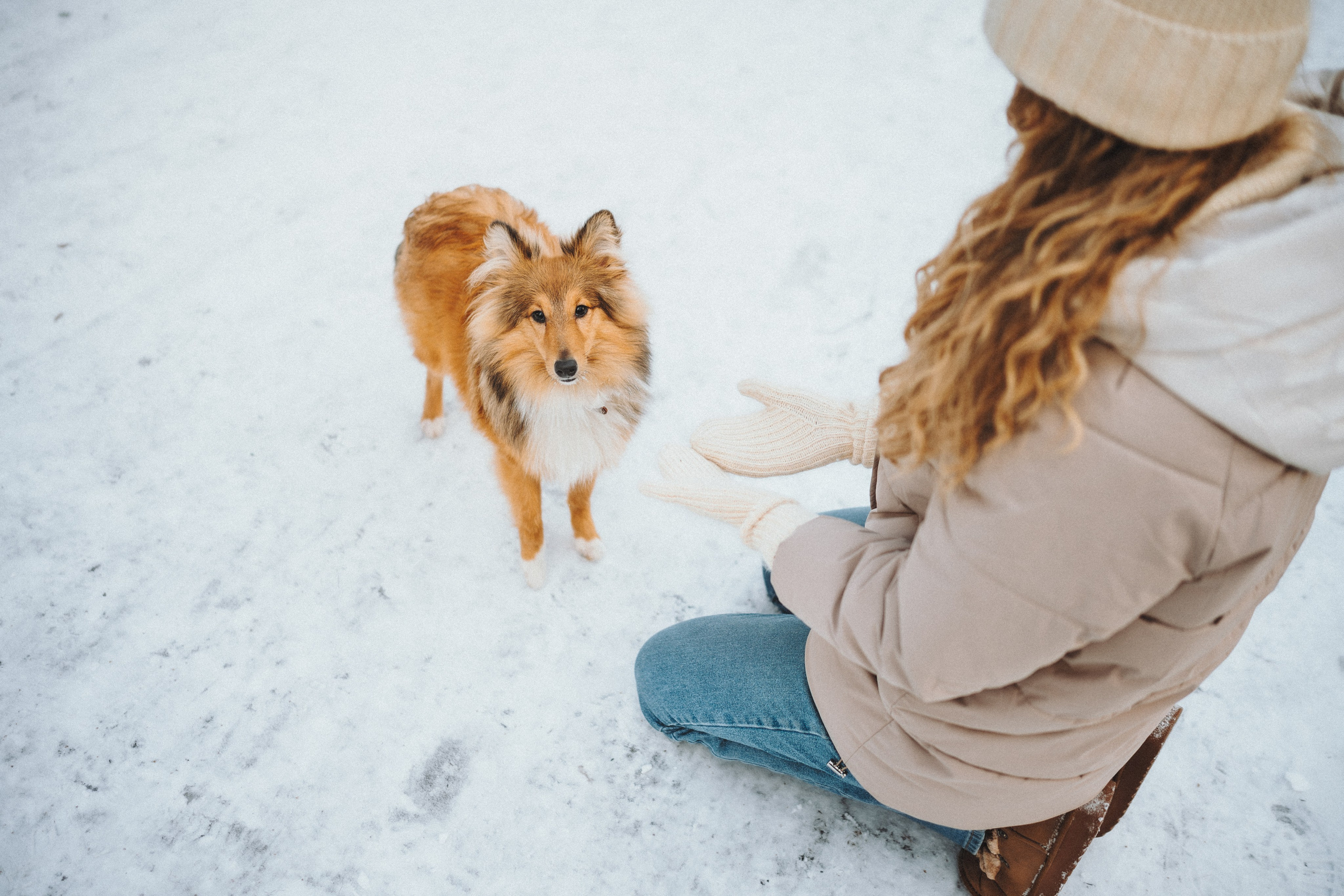 Дарья, Стас и Спика. Семейный фотограф анималист Ананьева Мария — Москва
