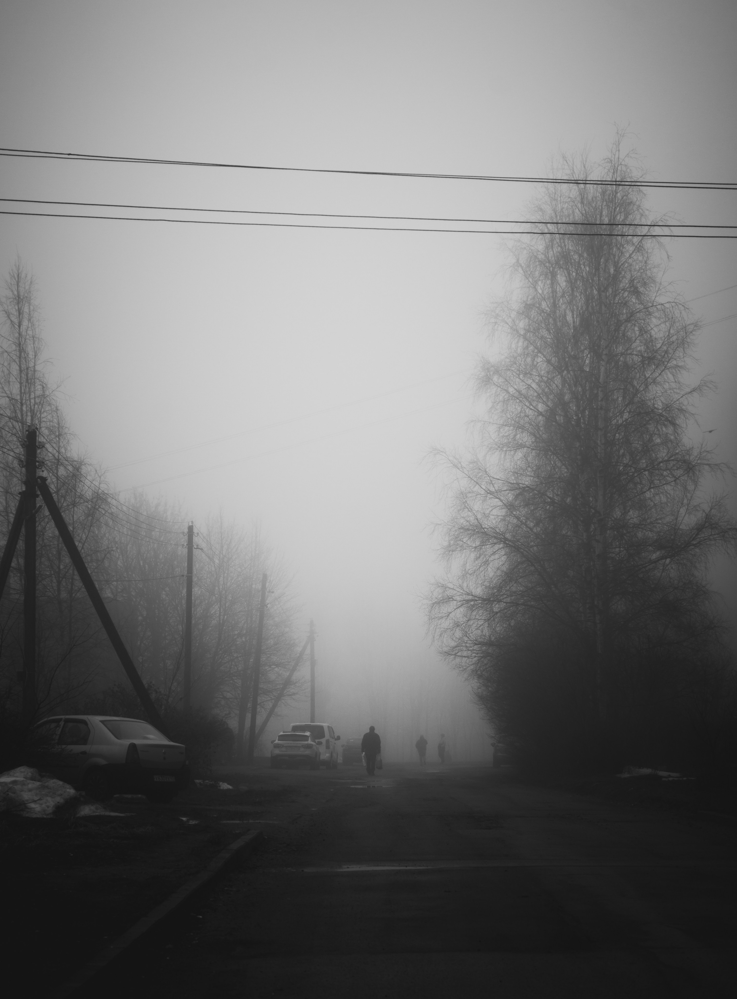  Чёрно-белое фото туманной улицы в Петербурге, силуэты людей в дымке среди берёз и проводов, меланхоличная атмосфера зимнего города, street photography Мальцев Евгений.