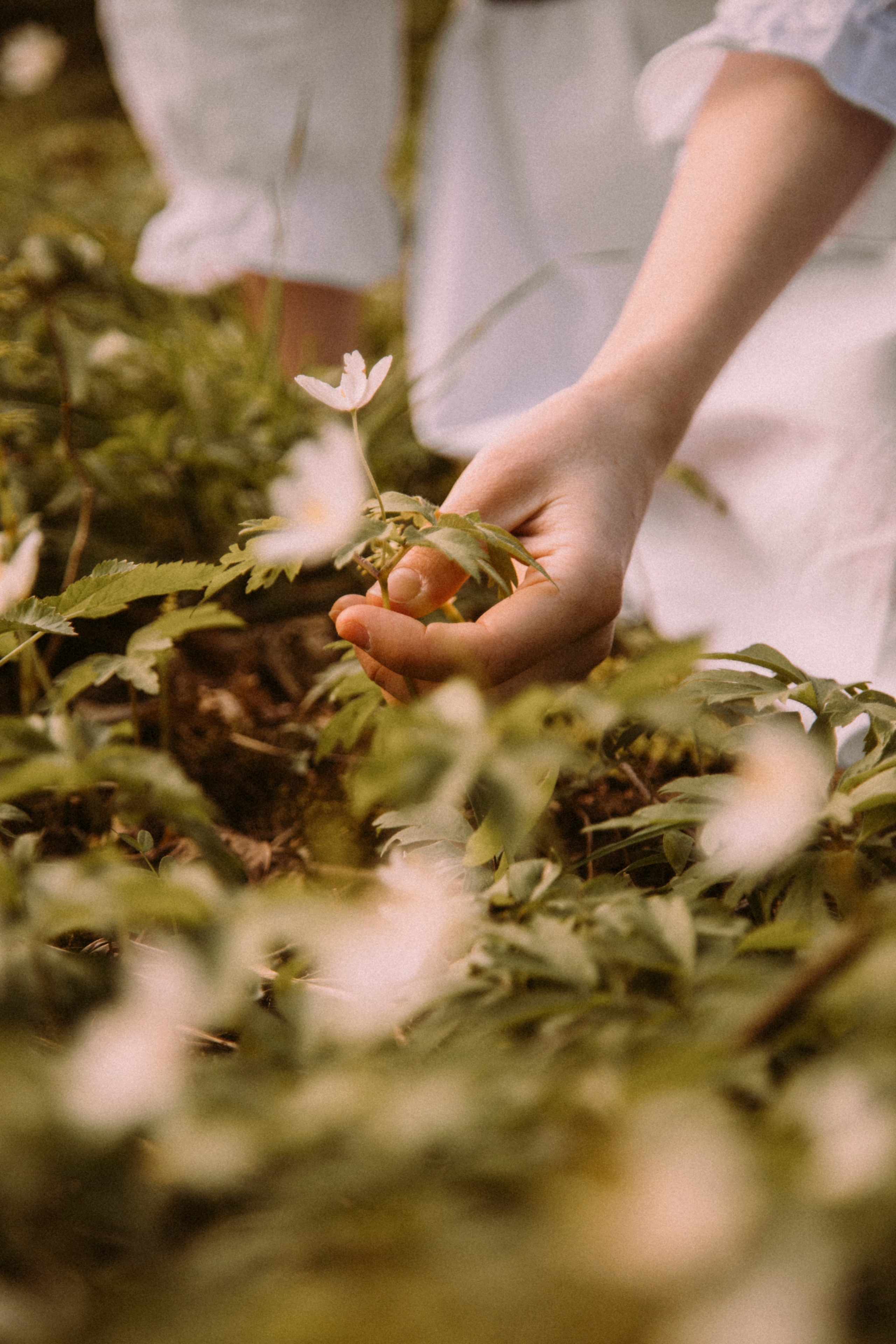 Тематические съемки. Фотограф и видеограф в Санкт-Петербурге Прохорова Надежда