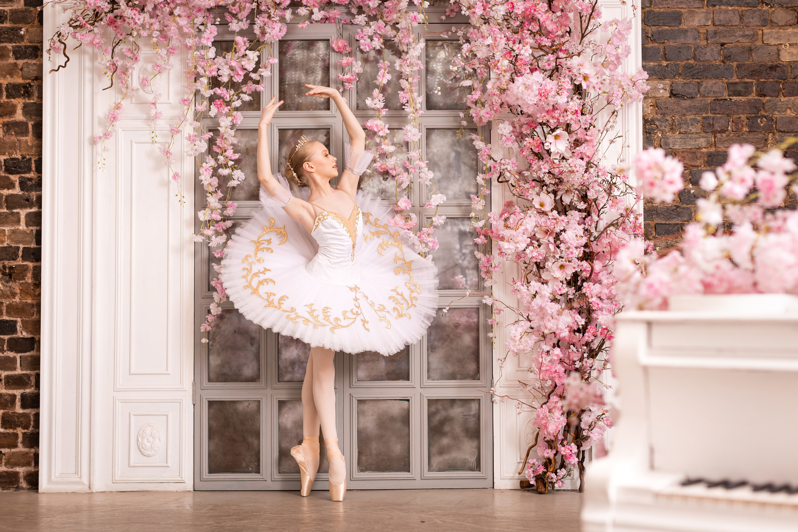 Балетная съёмка в интерьере. Балетный фотограф Алина Ханько — Душа Балета