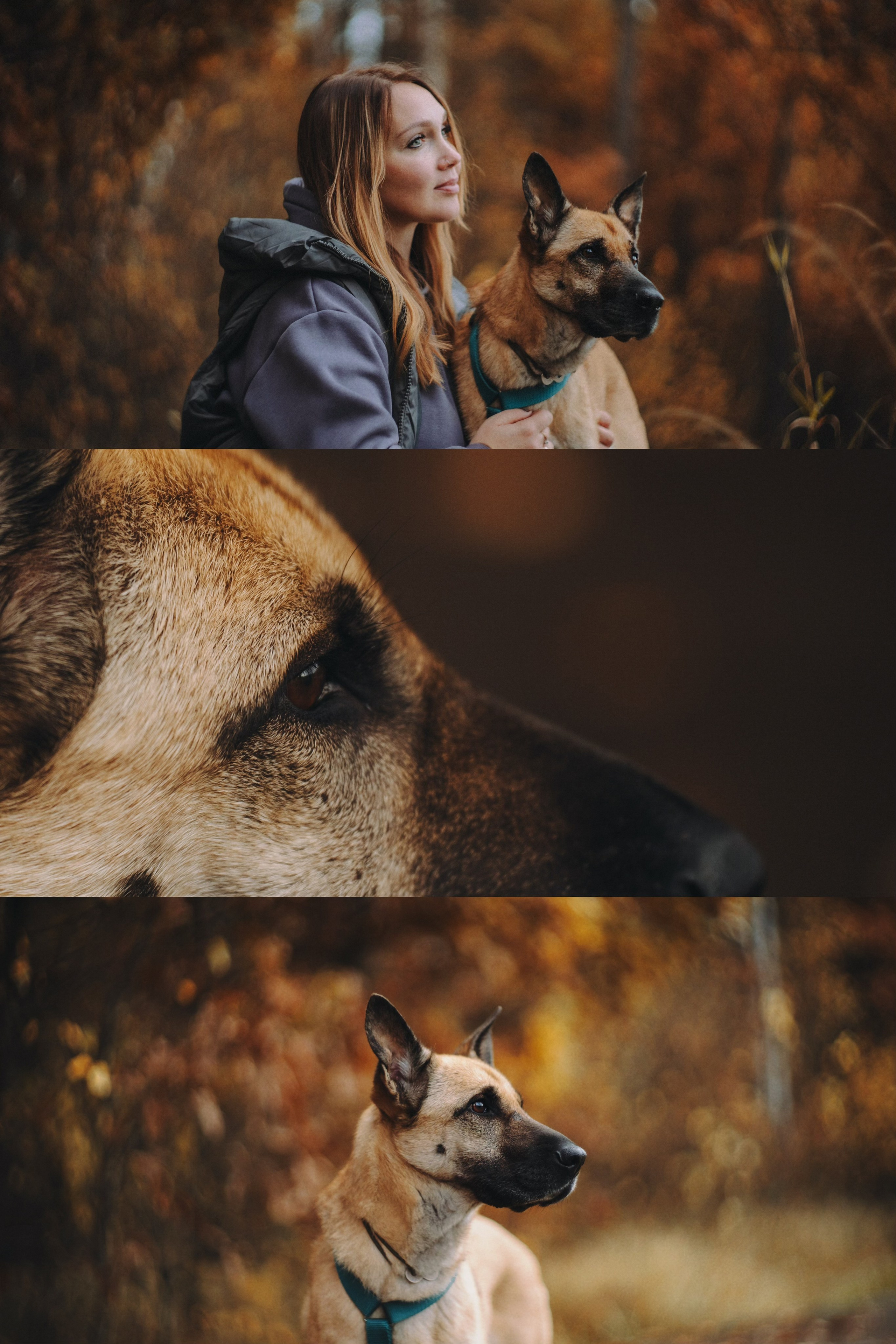 Наталия, Иван и Урса. Фотограф анималист в Москве и Санкт-Петербурге Свиридова Анна