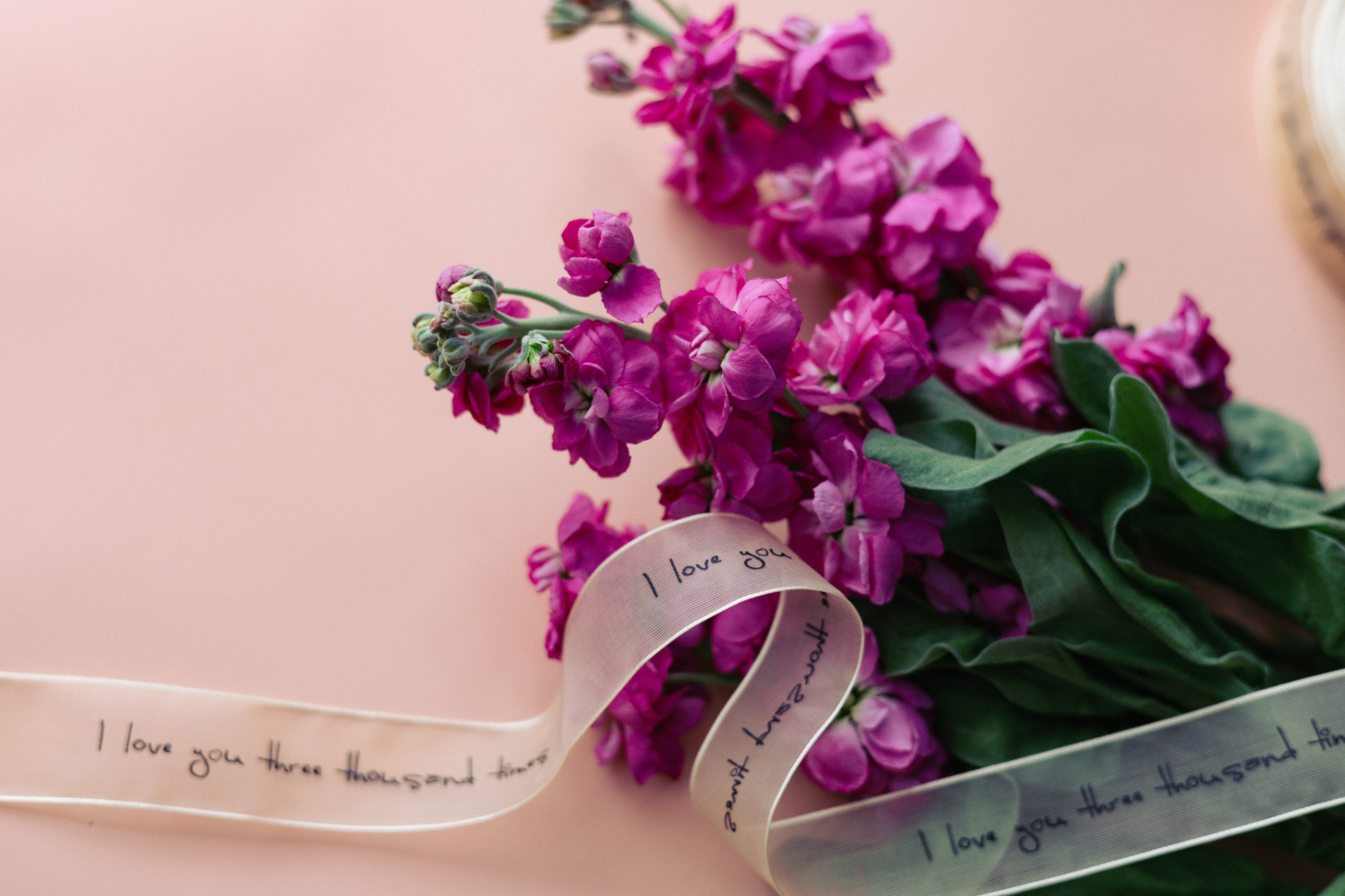 Кейс магазин цветов. Ваш фотограф