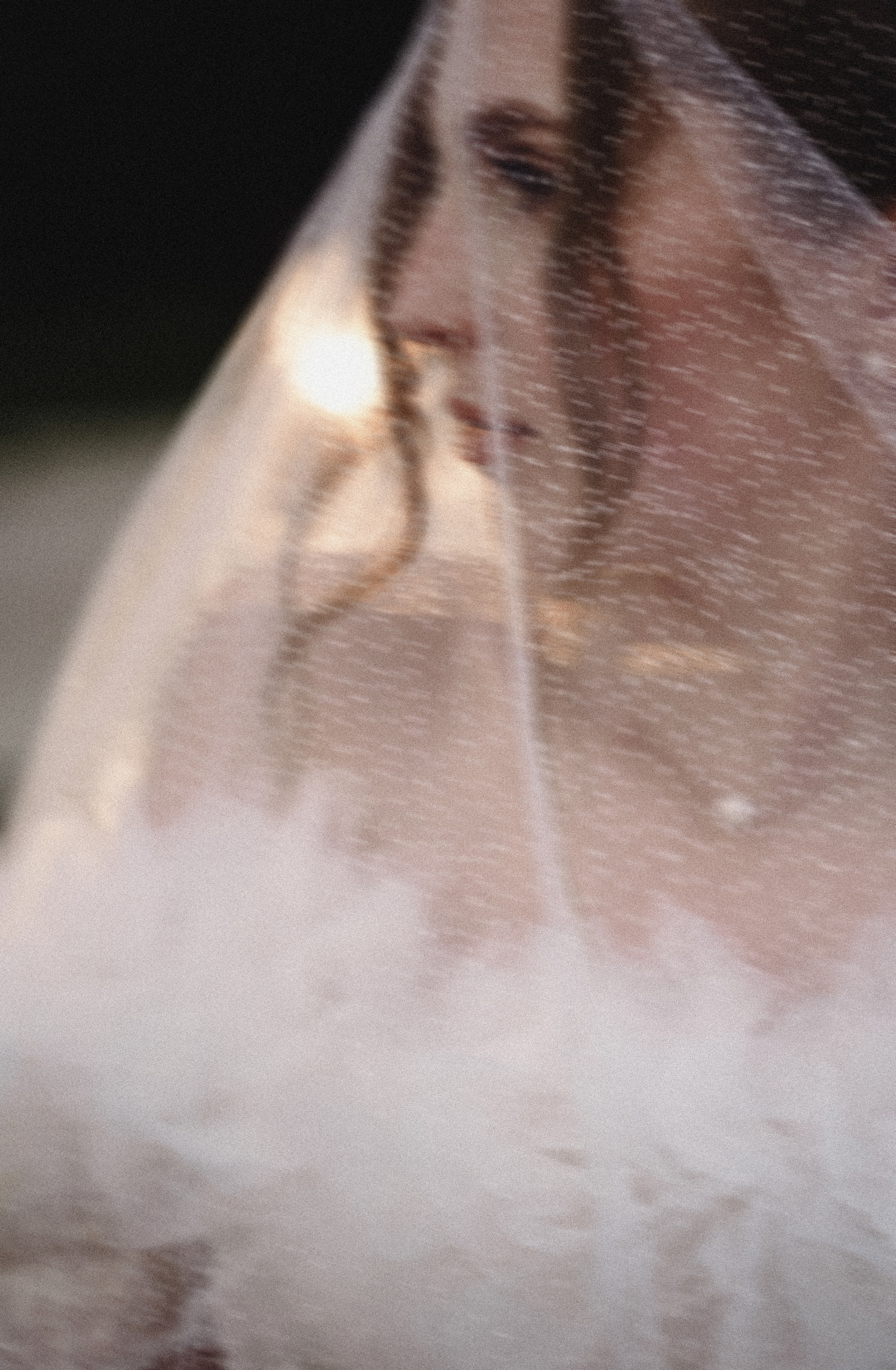 Анна & Артем 2025. Фотосъемка и видеосъемка свадеб Липецк