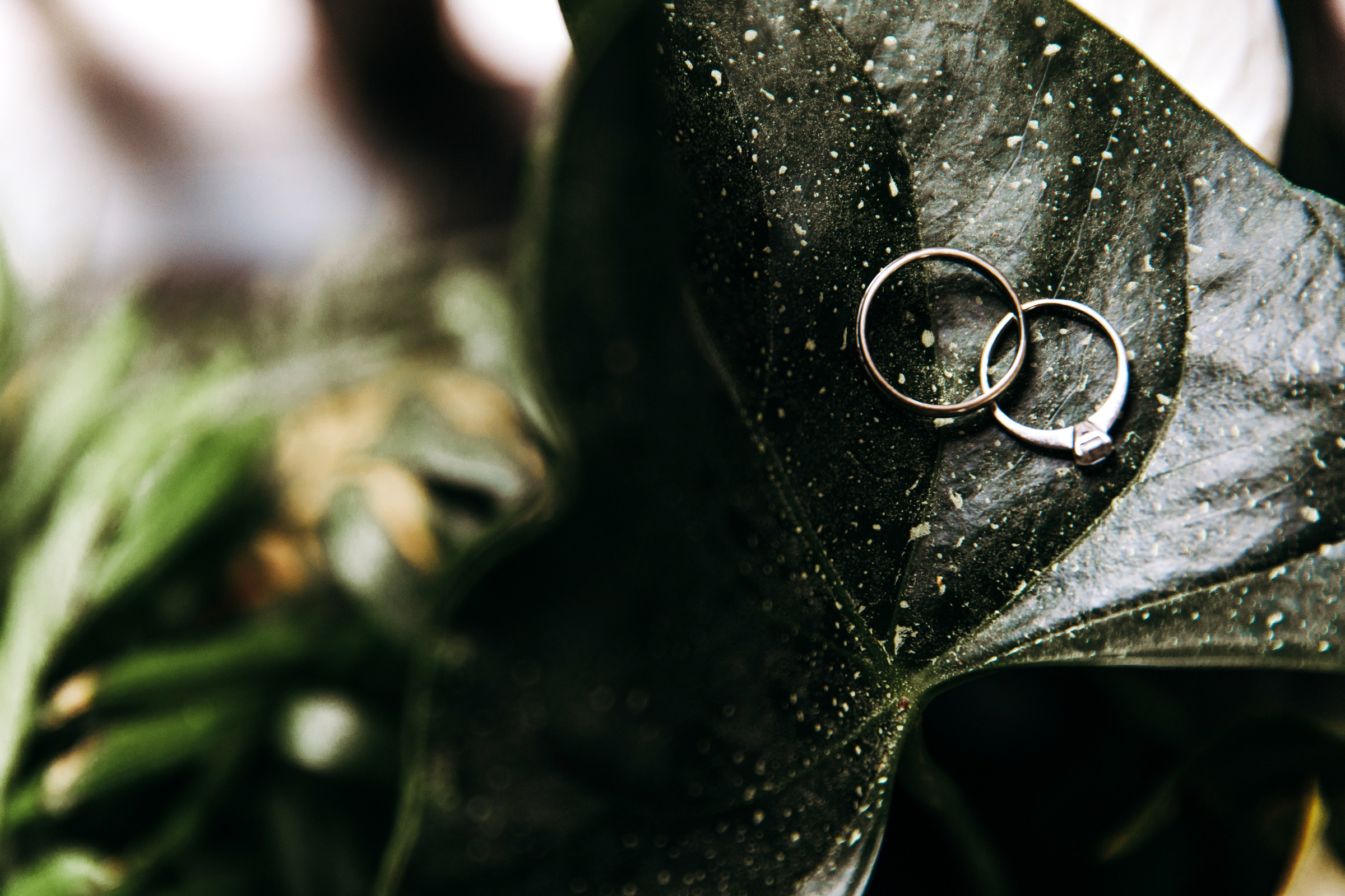 Semen & Arina. Свадебный и семейный фотограф в Краснодаре Анастасия Прудко