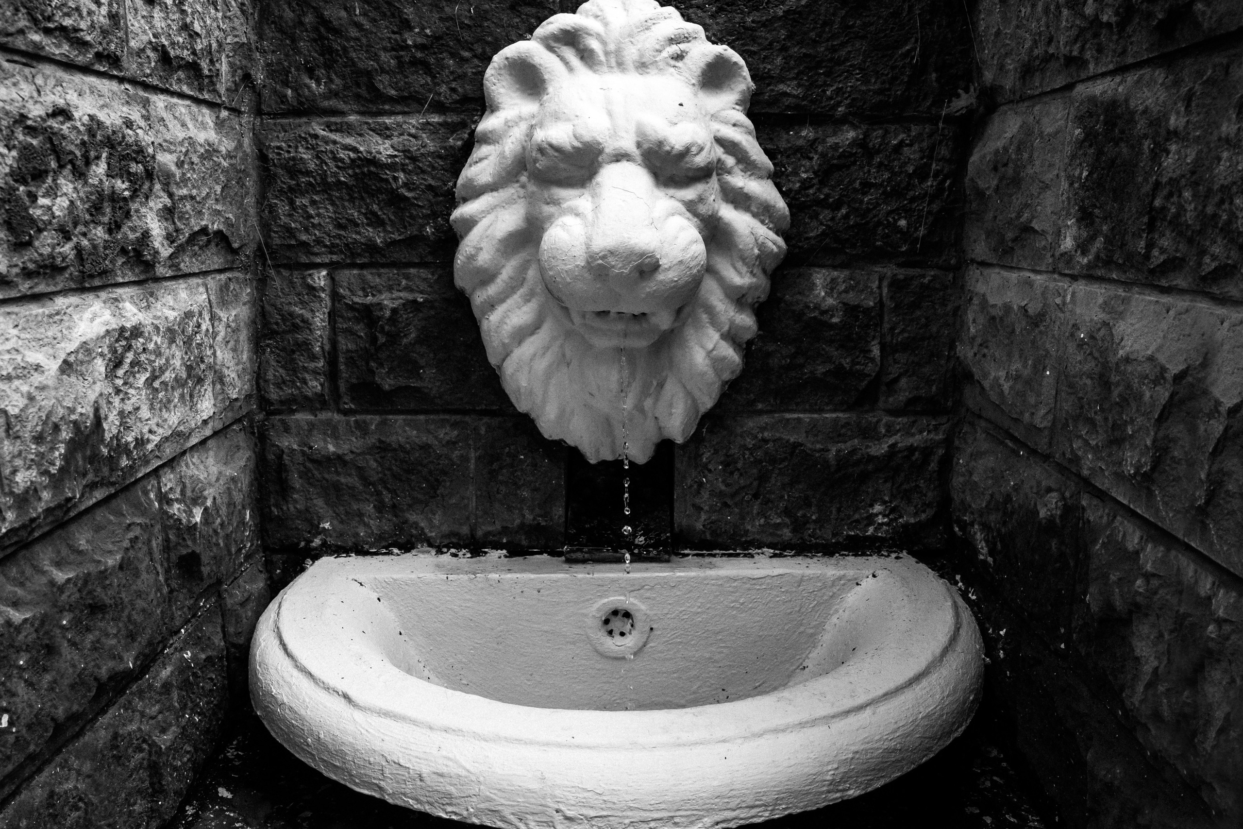 S & A. Свадебный и семейный фотограф в Краснодаре Анастасия Прудко