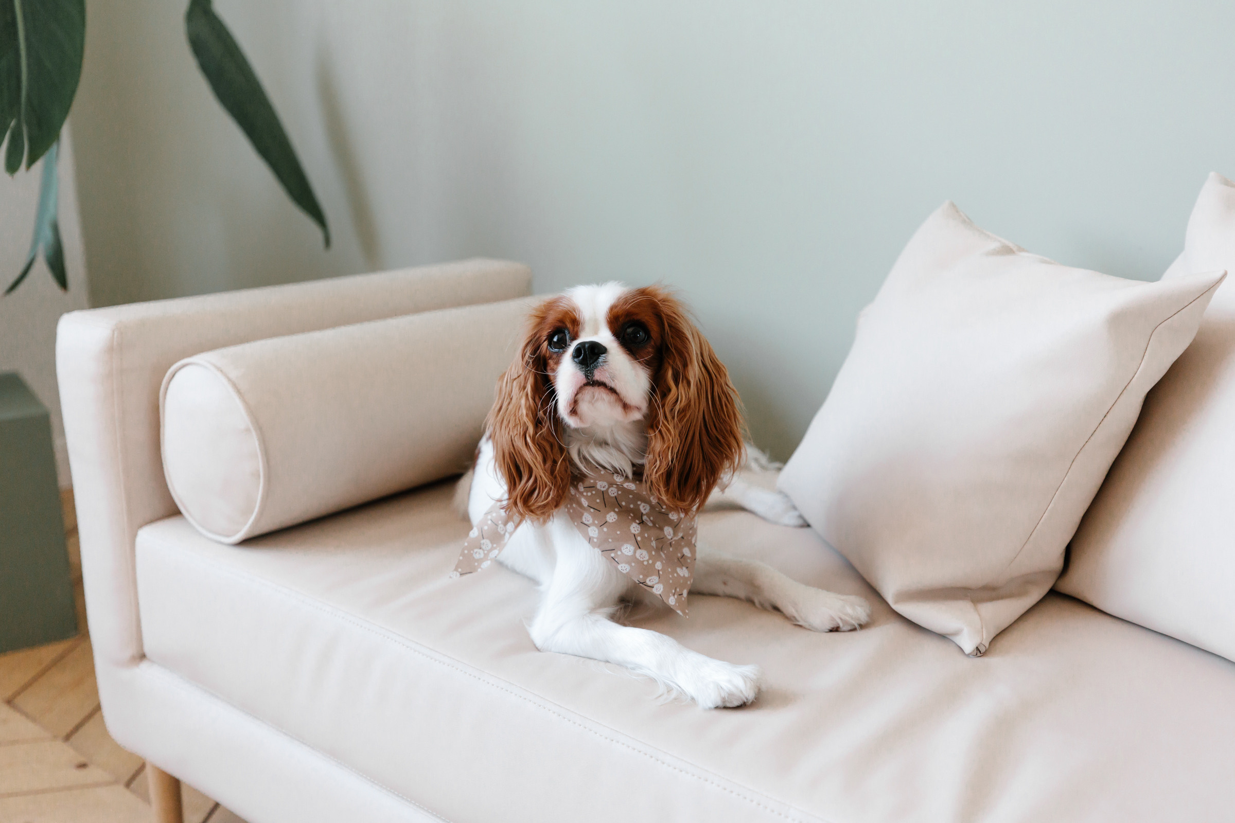 Marina, Diana & Emma. Свадебный и семейный фотограф в Краснодаре Анастасия Прудко