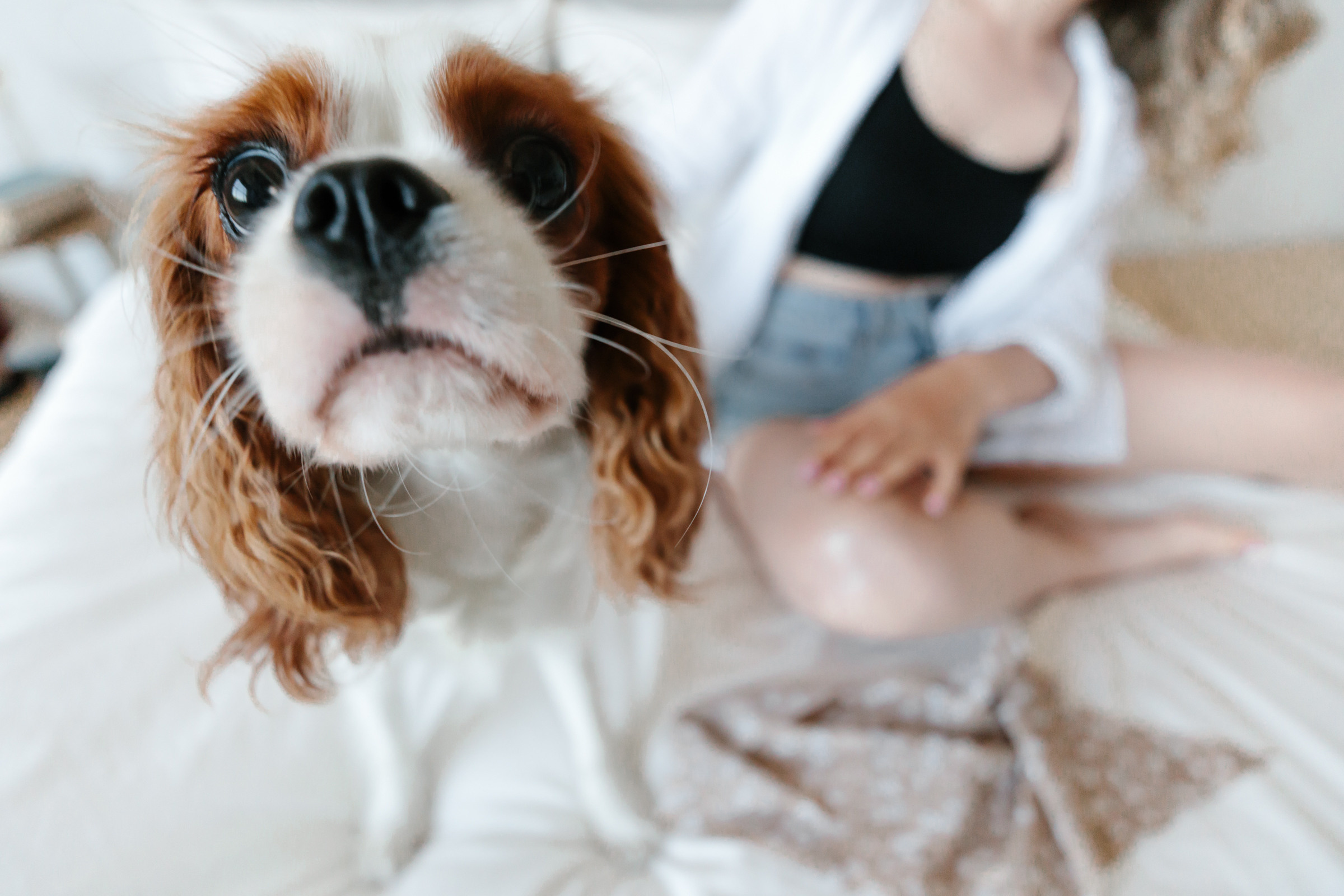 Marina, Diana & Emma. Свадебный и семейный фотограф в Краснодаре Анастасия Прудко