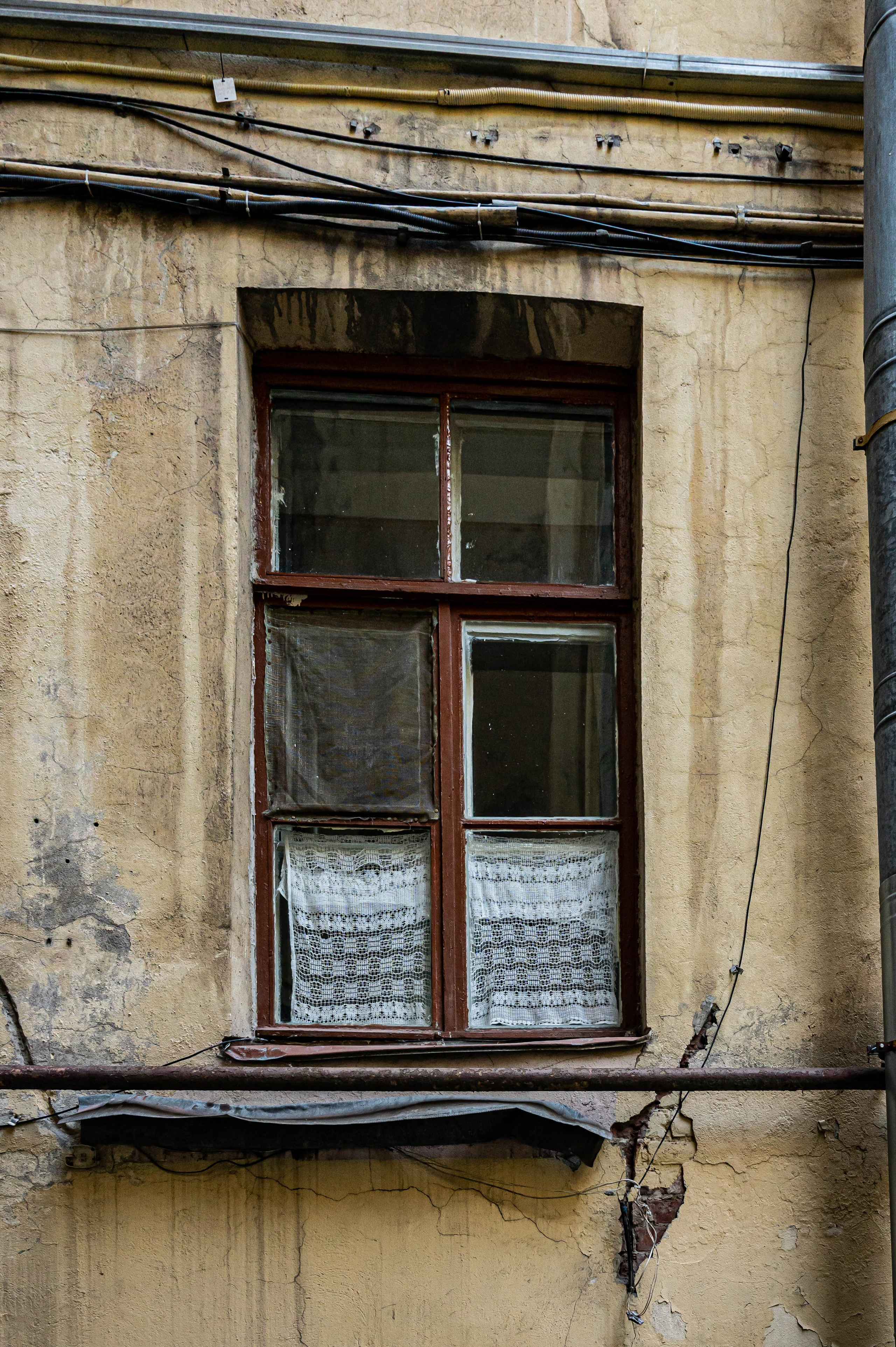 Репортажная фотосъёмка в Петербурге | Портретный фотограф Ольга Берёза. Экскурсовод в Санкт-Петербурге | Ольга Колоскова