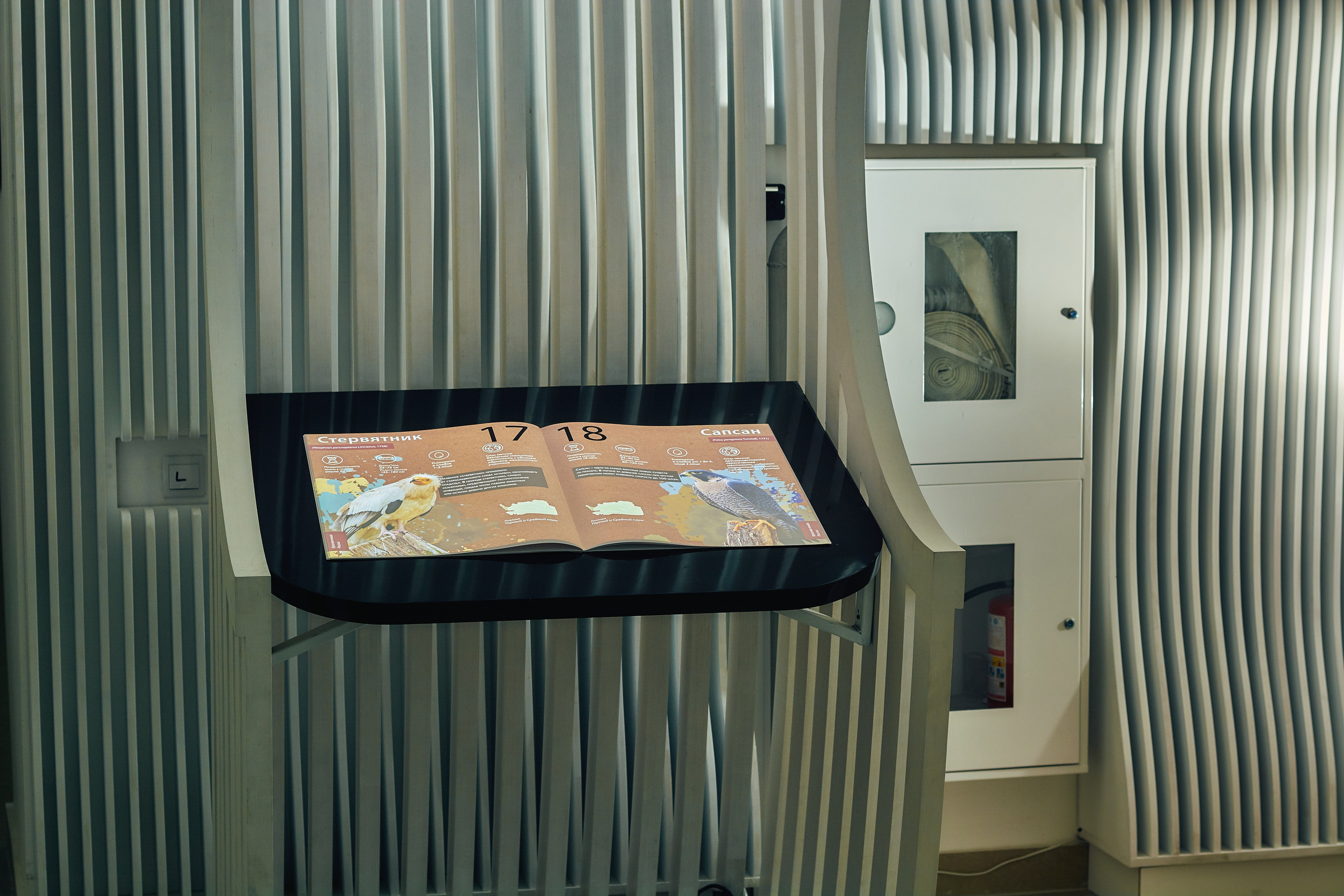 Интерьерная съемка Визит-центр Национальный парк «Кисловодский». Константин Кордонский | Интерьерный и food-фотограф в Кисловодске и КМВ