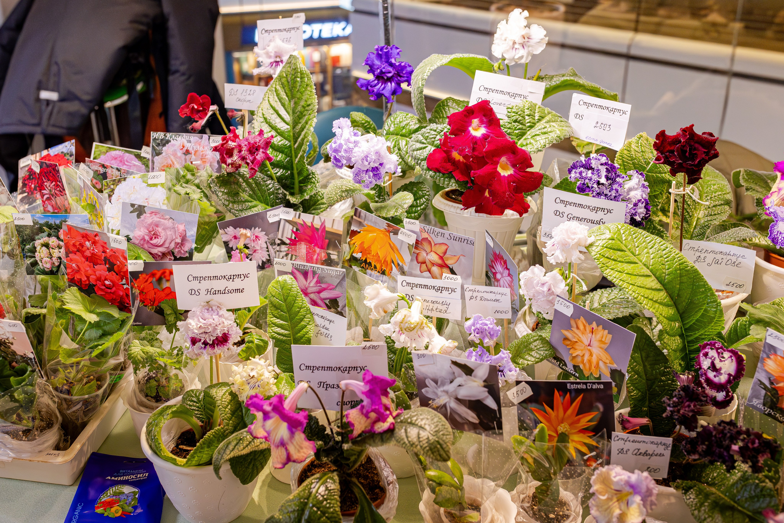 Growbox 1–2 марта. Александра Куликова фотограф, Москва