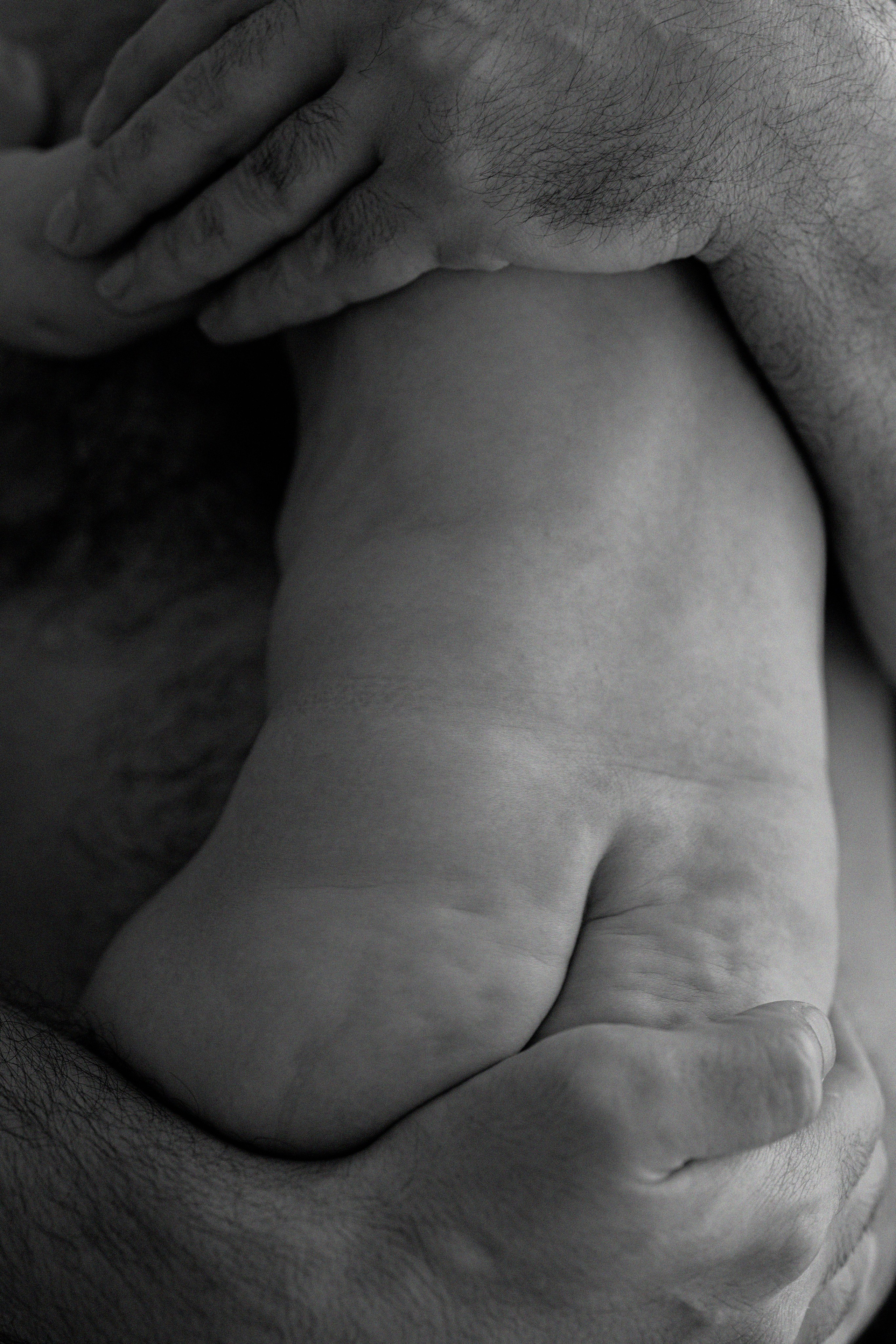 Артур, Лика, Давид. Фотограф беременности и материнства в Москве Мария Менендес-Гонсалес