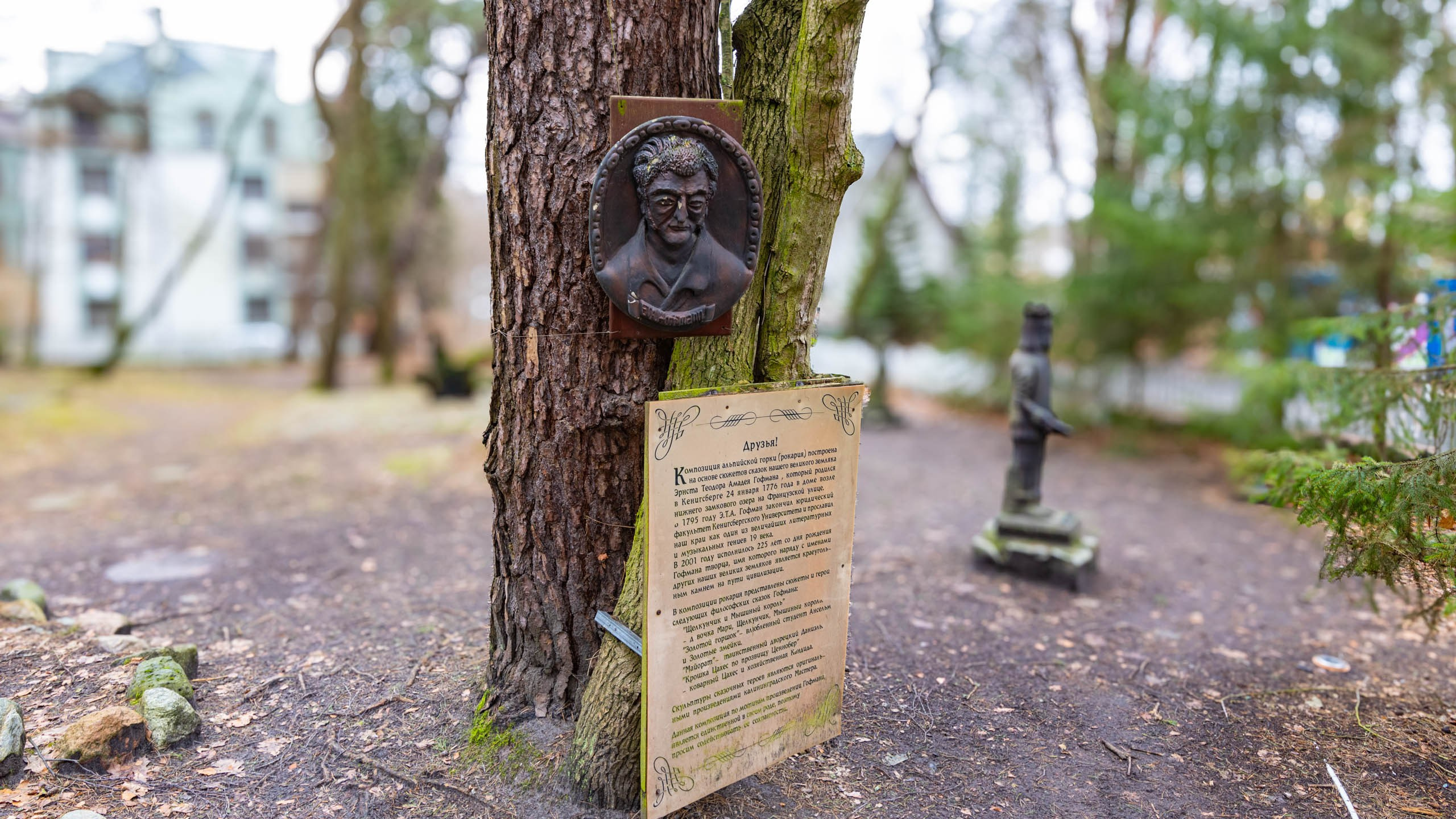 2024 01 Калининград (Светлогорск, Зеленоградск). Фотографии