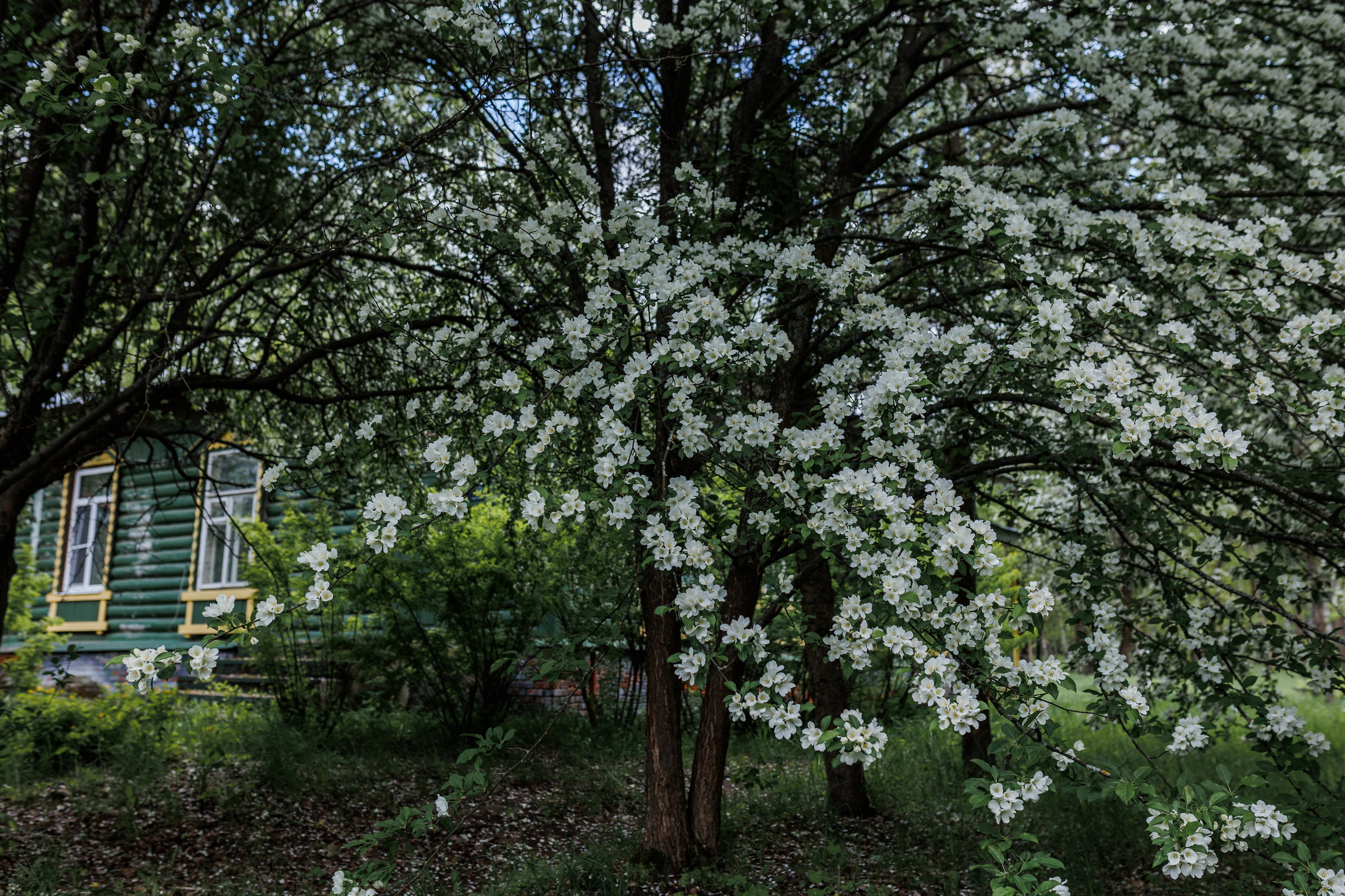 База отдыха «Металлург». Фотограф городских и семейных событий в Нижнем Новгороде Артем Карпухин