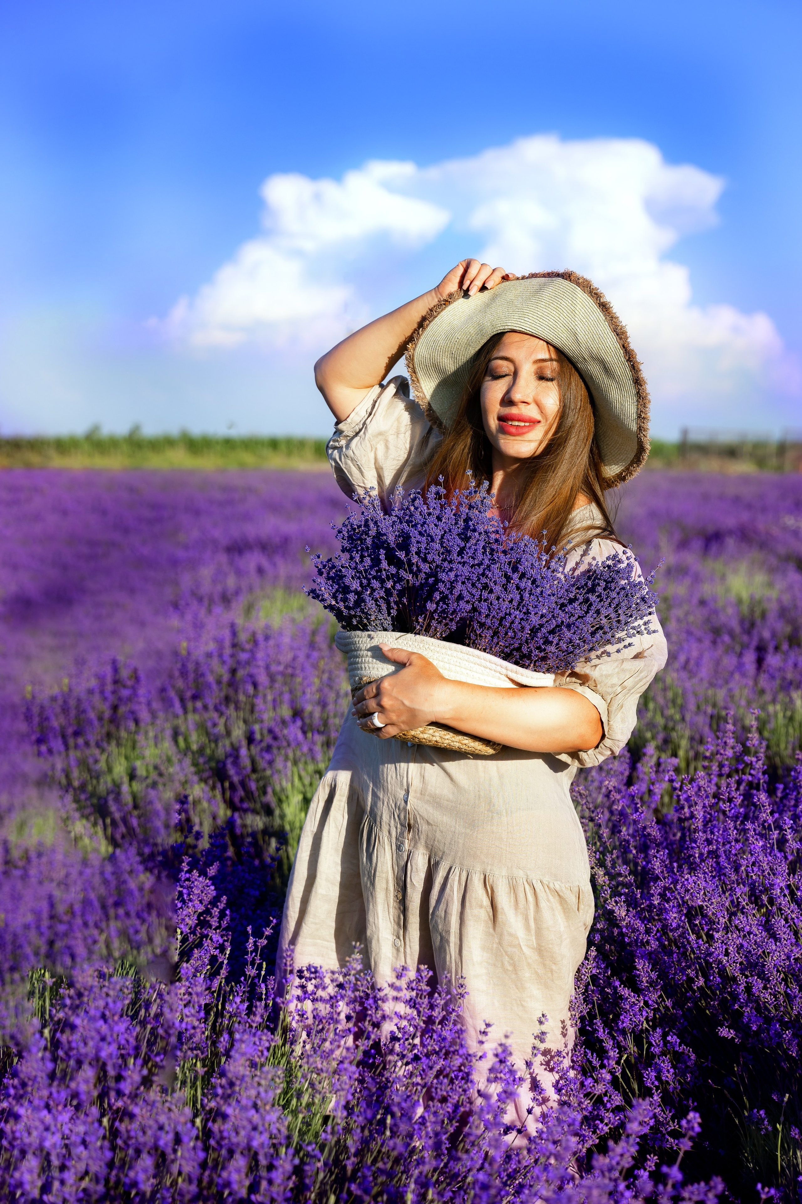 Лаванда. Главная