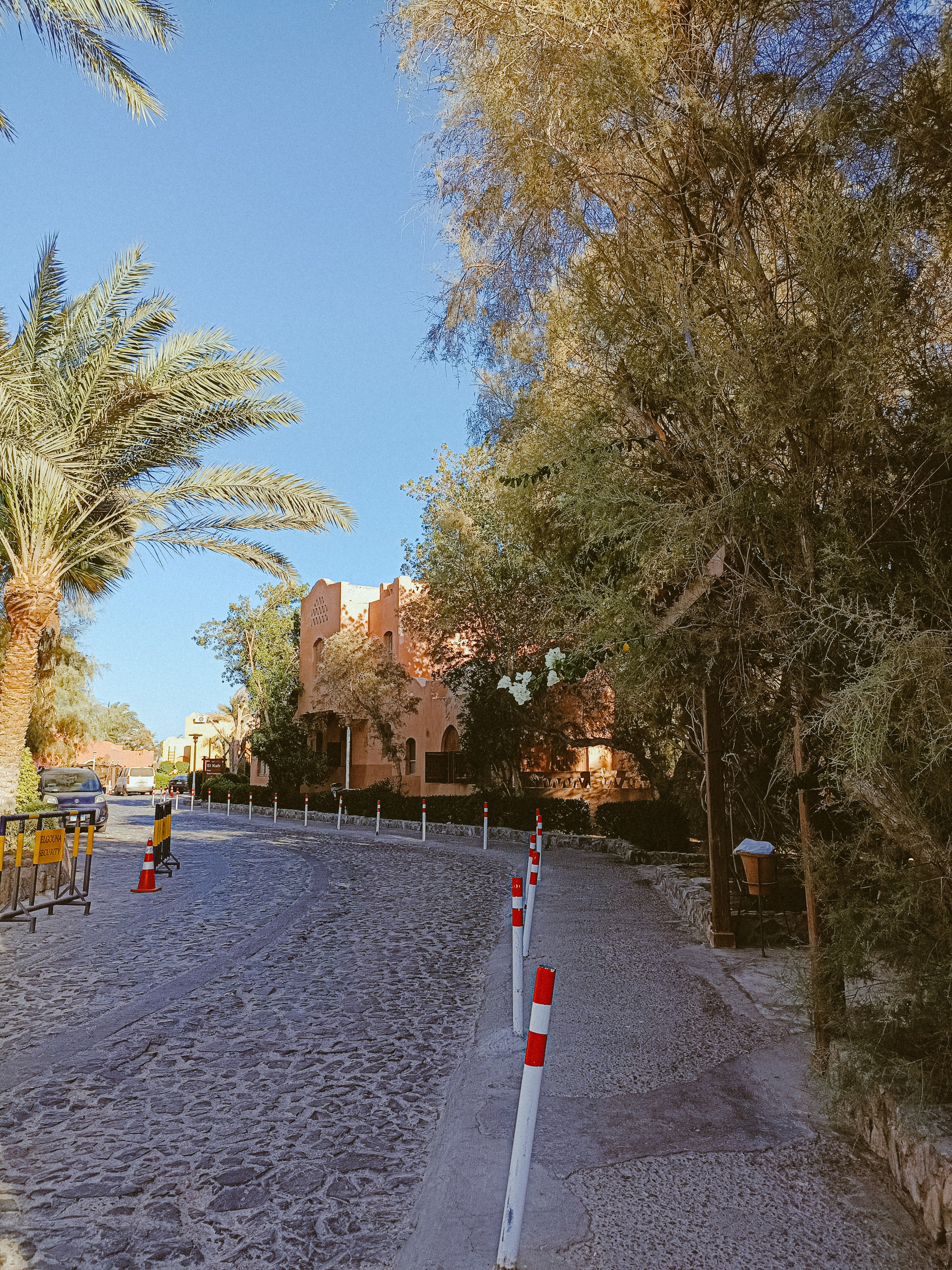 Мобильная. Jorgis — фотограф в Хургаде / обучение фотографии