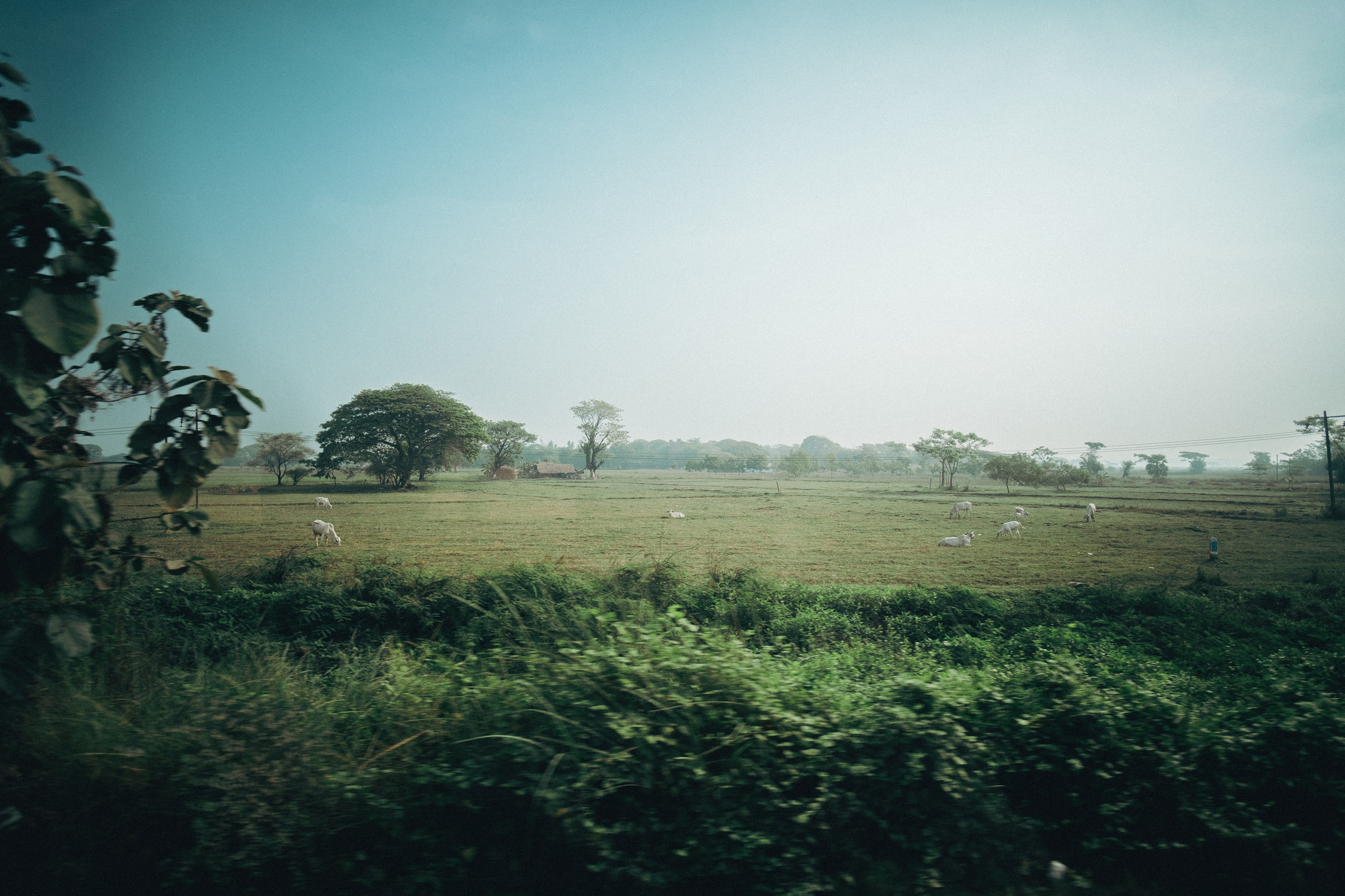 Myanmar. Dmitry Ippolitov
